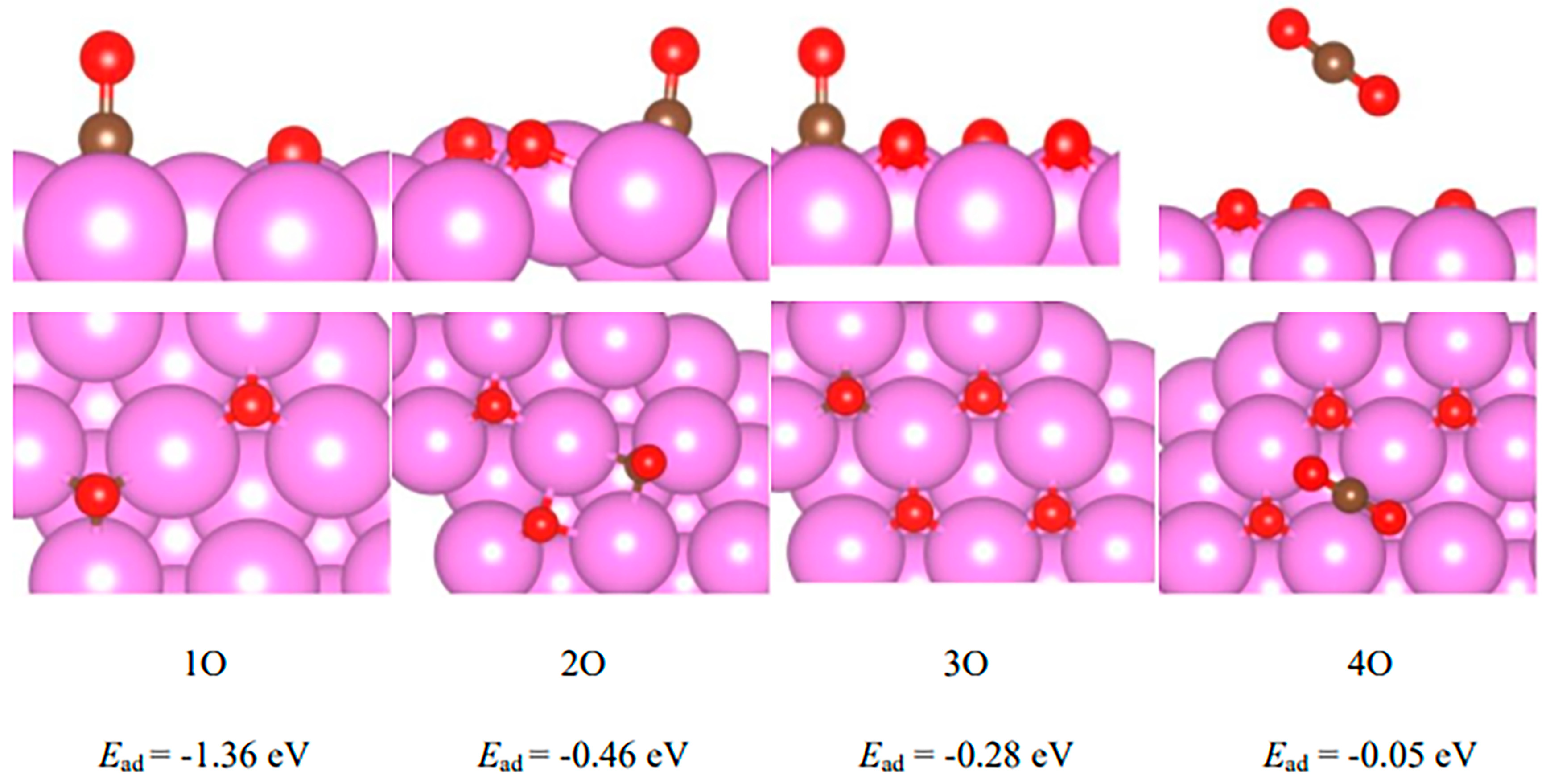 Molecules 29 03843 g007