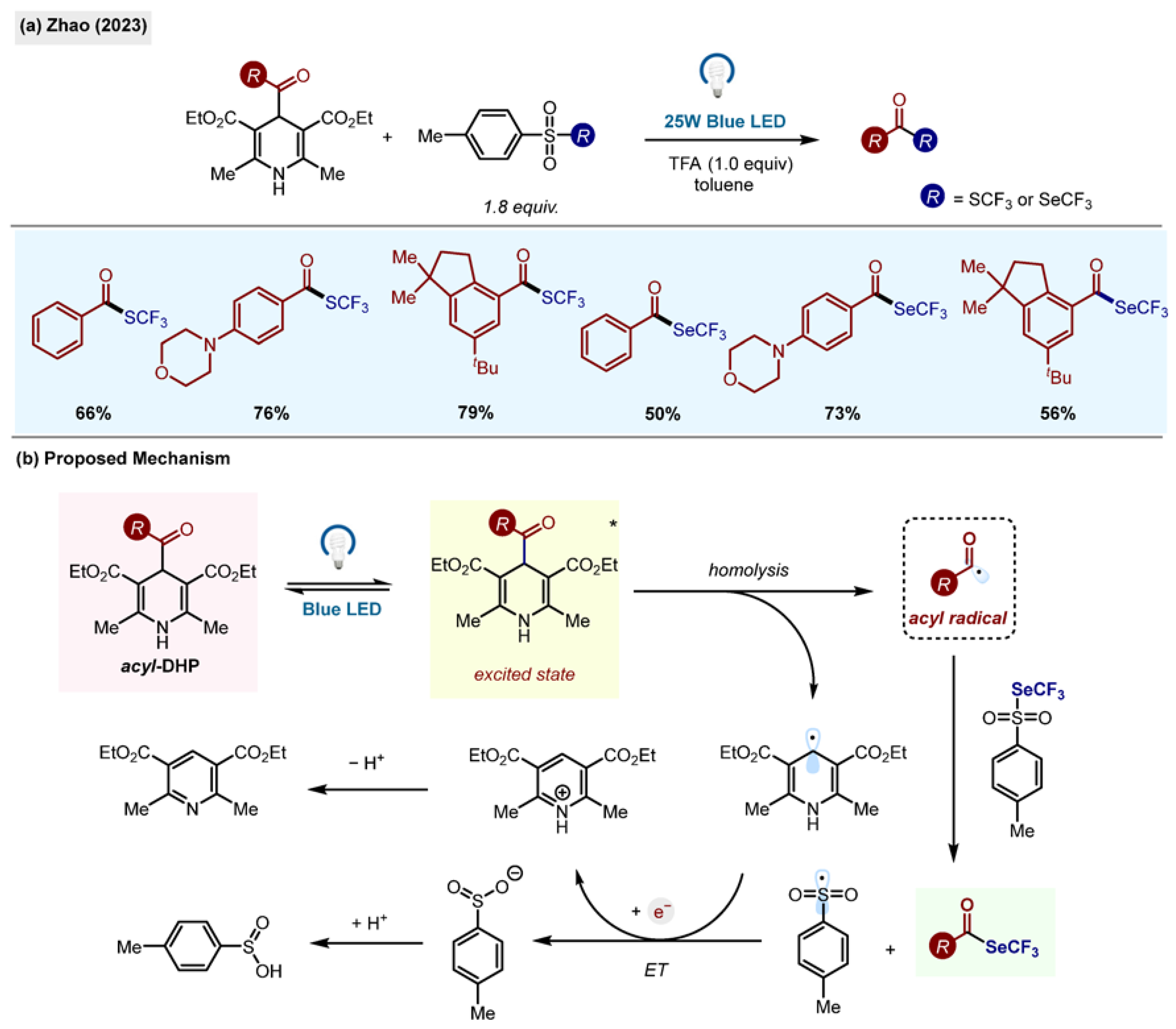 Molecules 29 03844 sch021