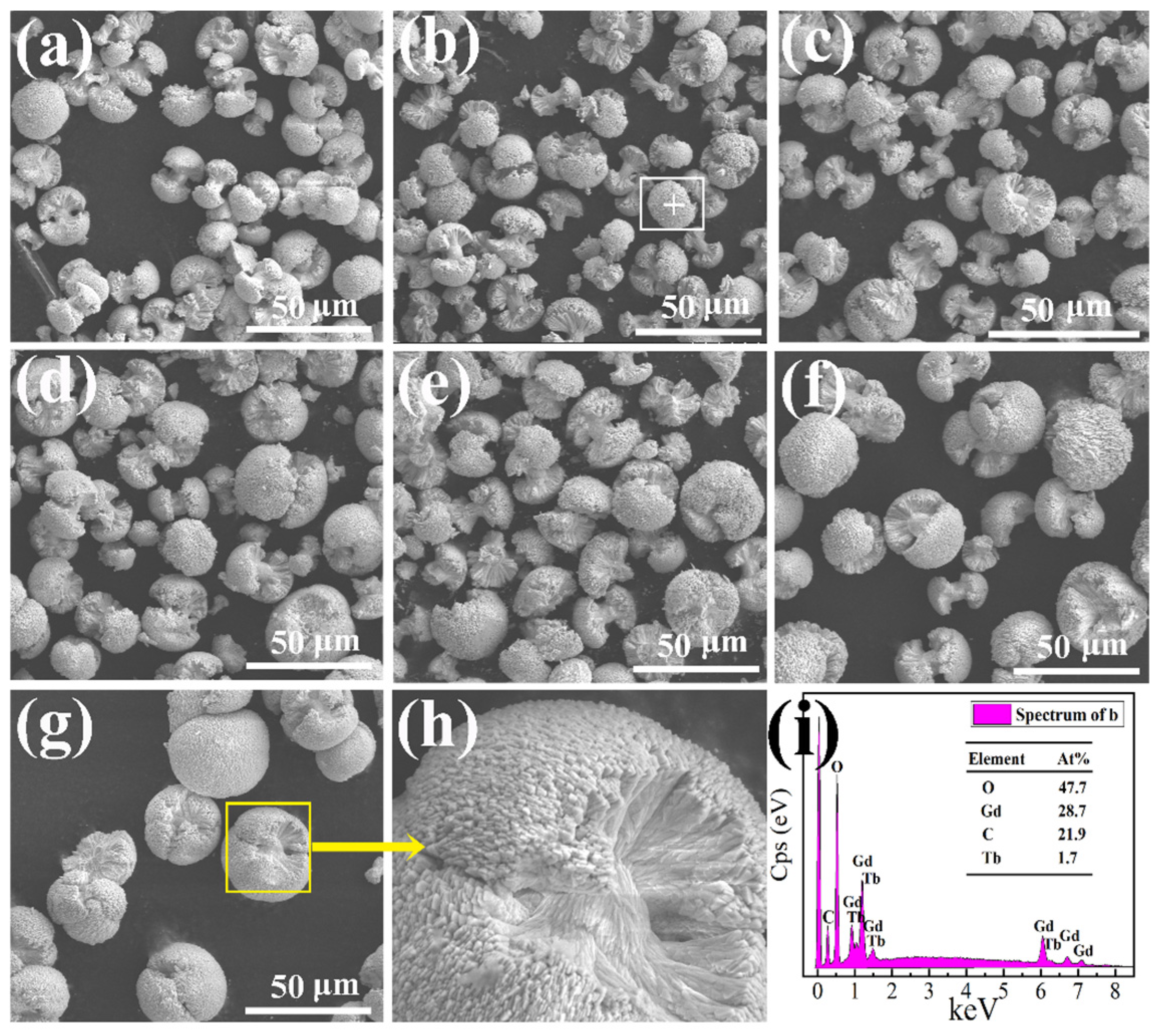 Molecules 29 03846 g004