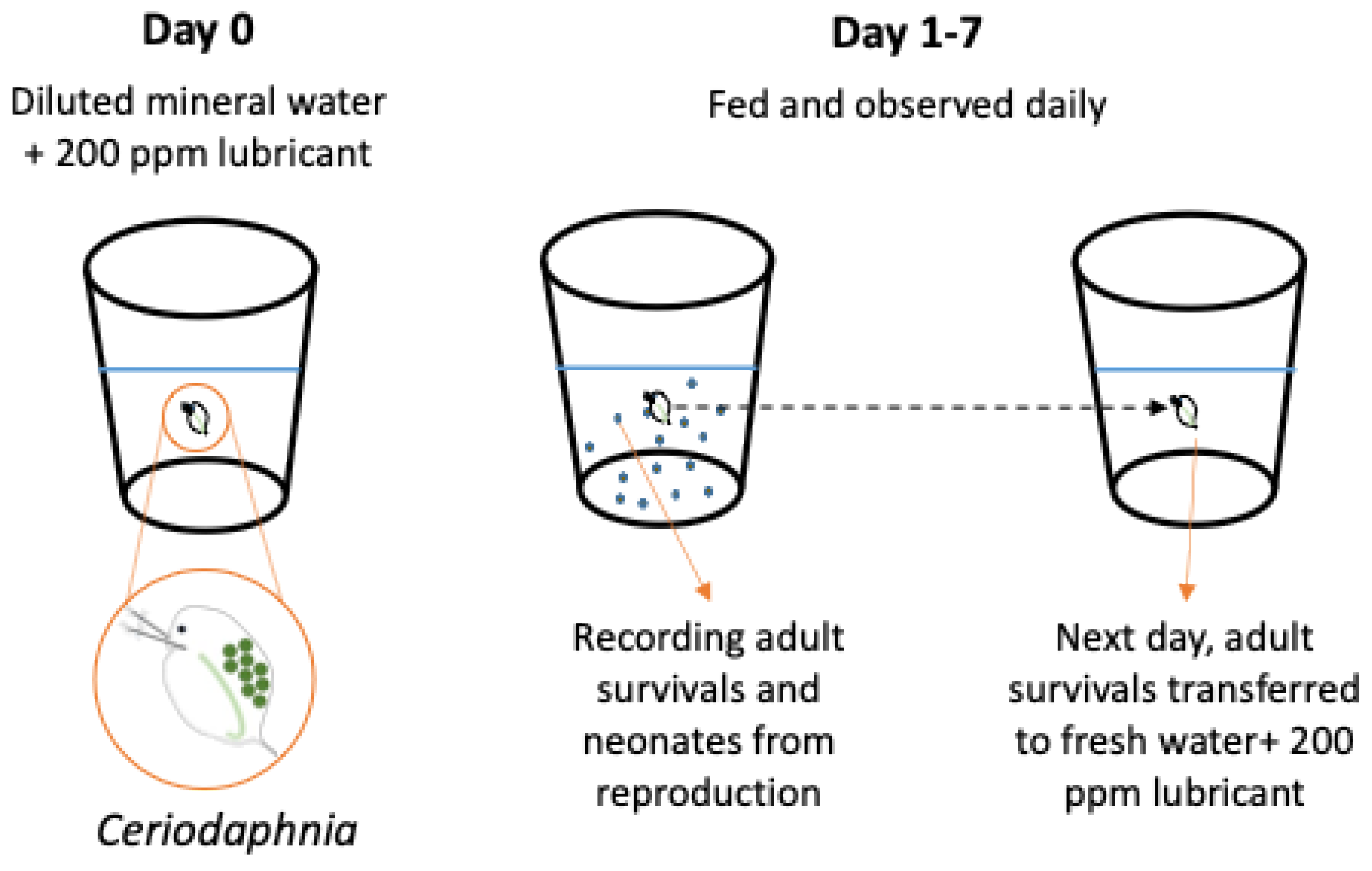 Molecules 29 03851 g001