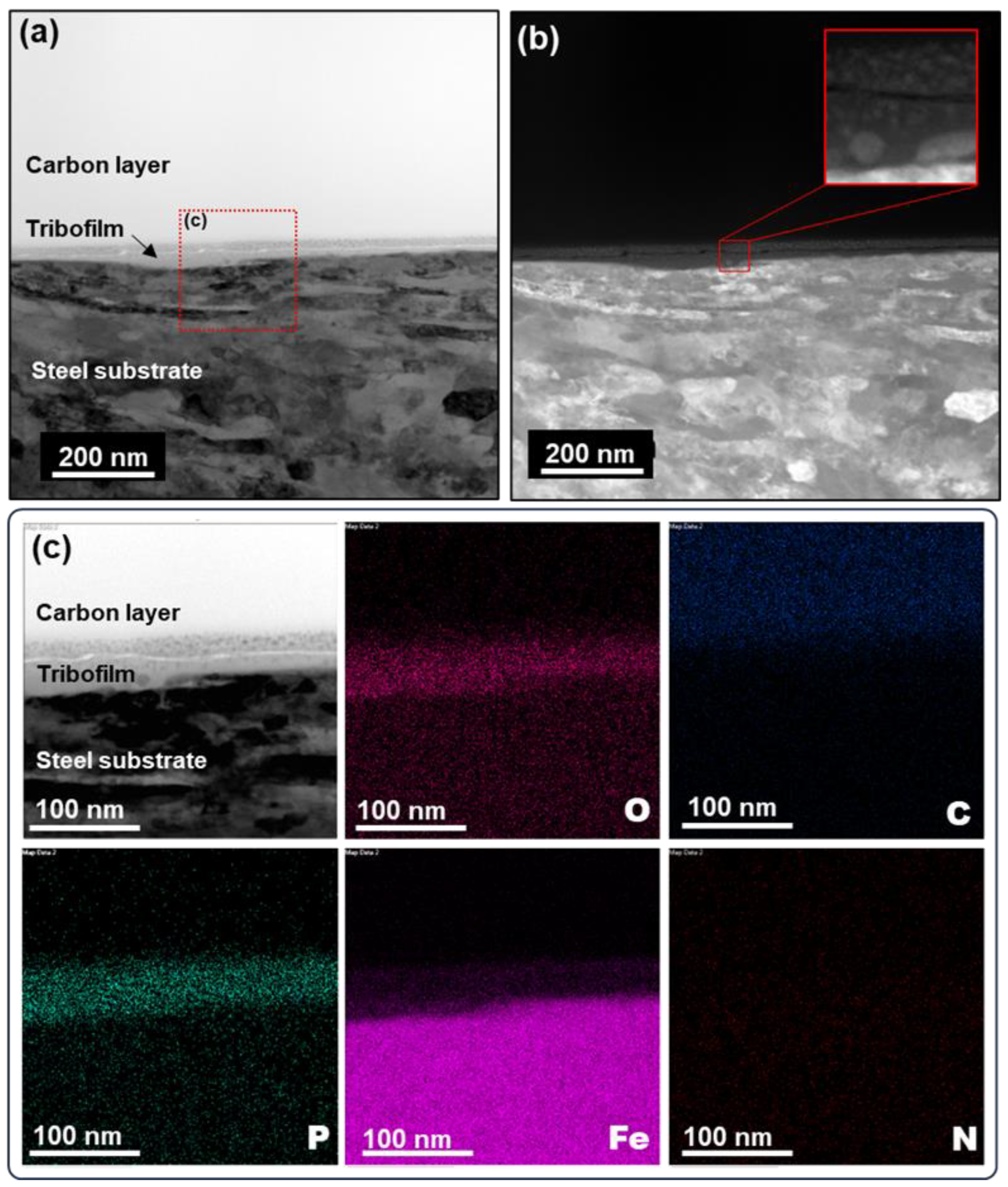 Molecules 29 03851 g006
