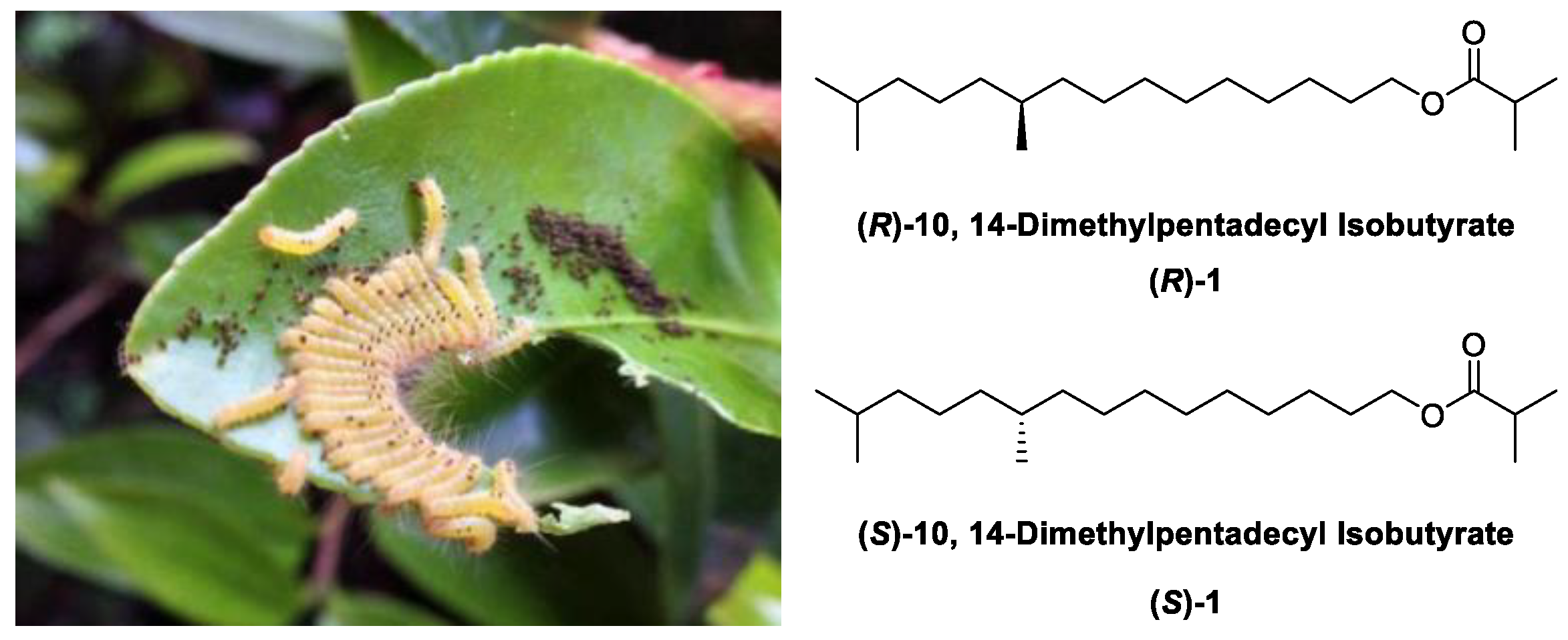 Molecules 29 03866 g001 Molecules 29 03866 g001