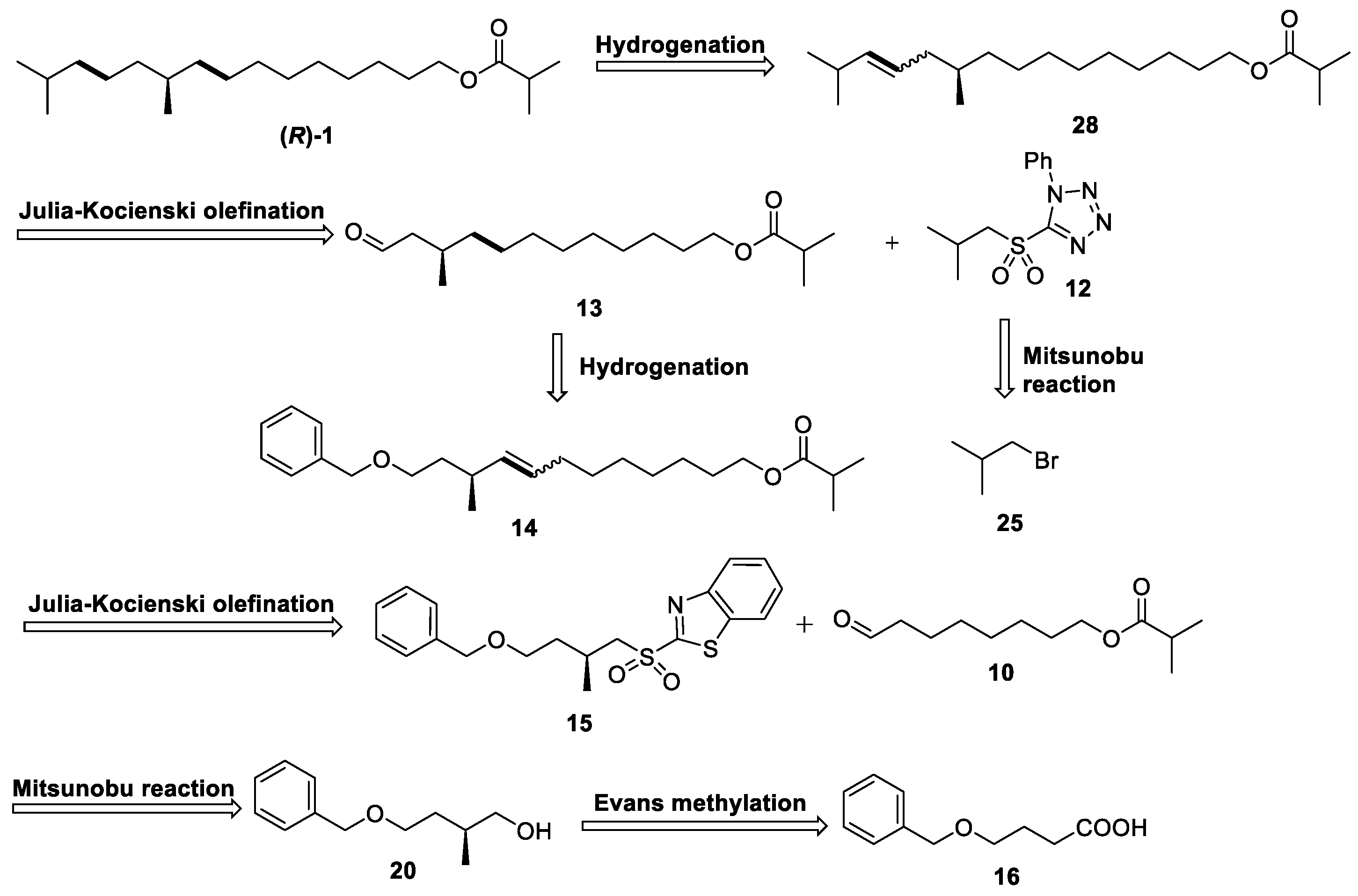 Molecules 29 03866 sch002 Molecules 29 03866 sch002