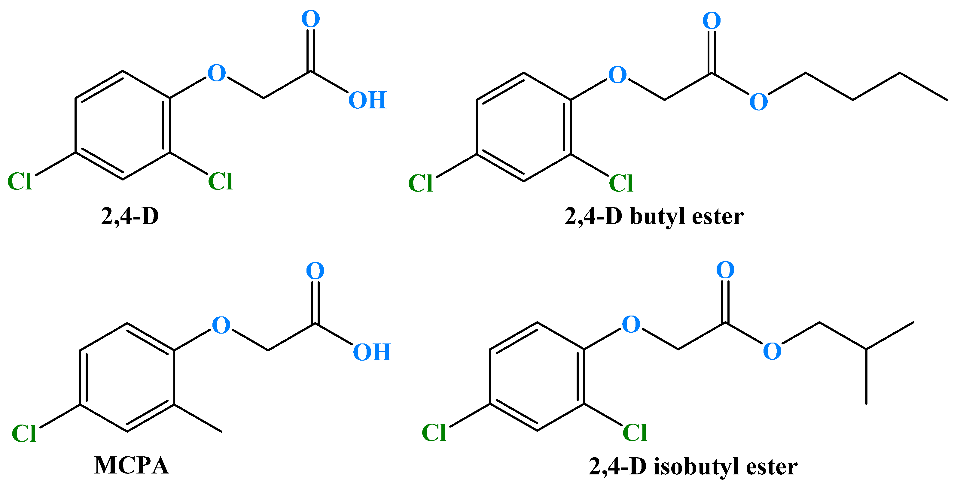 Molecules 29 03869 g001 Molecules 29 03869 g001