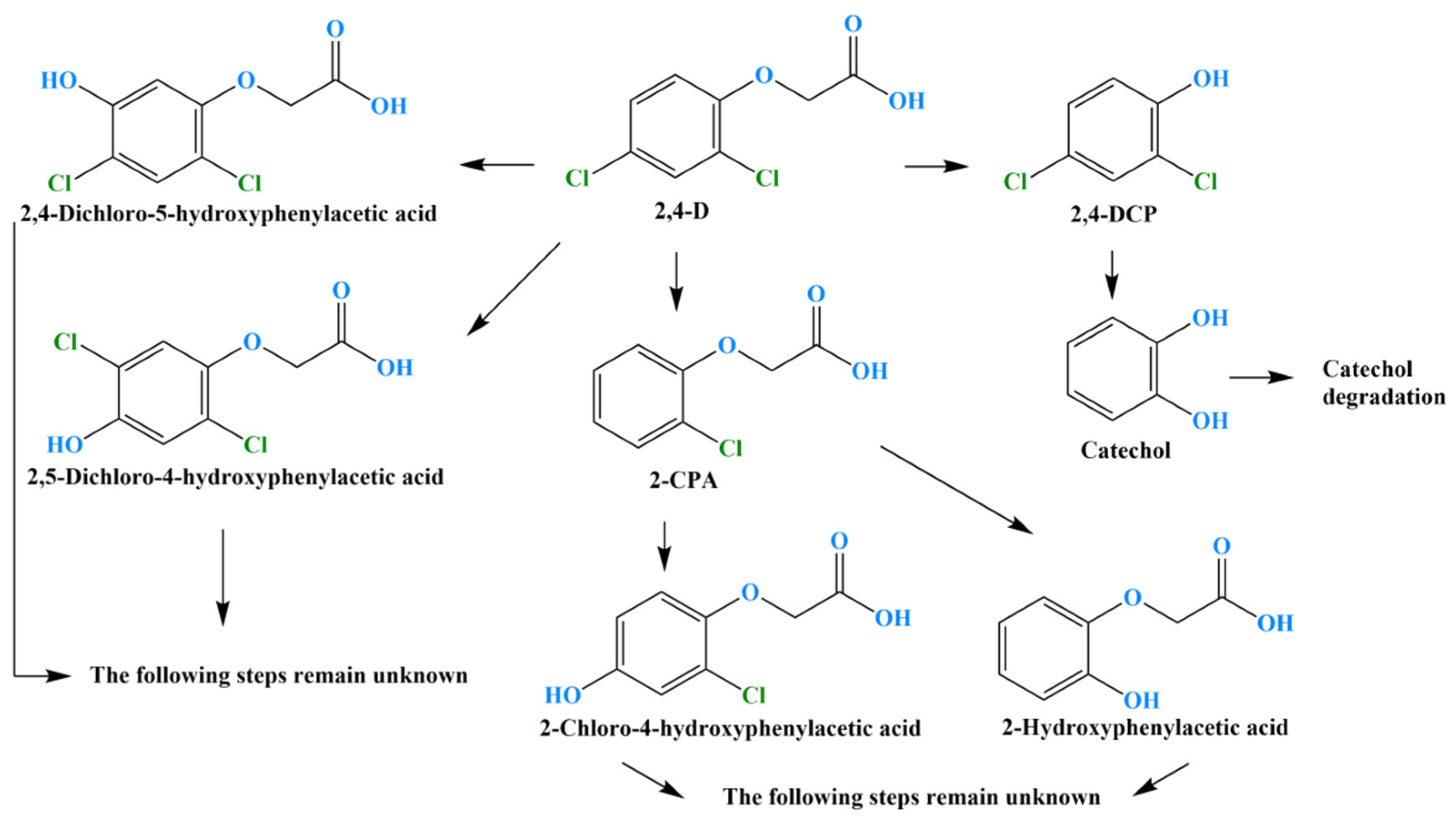 Molecules 29 03869 g006 Molecules 29 03869 g006