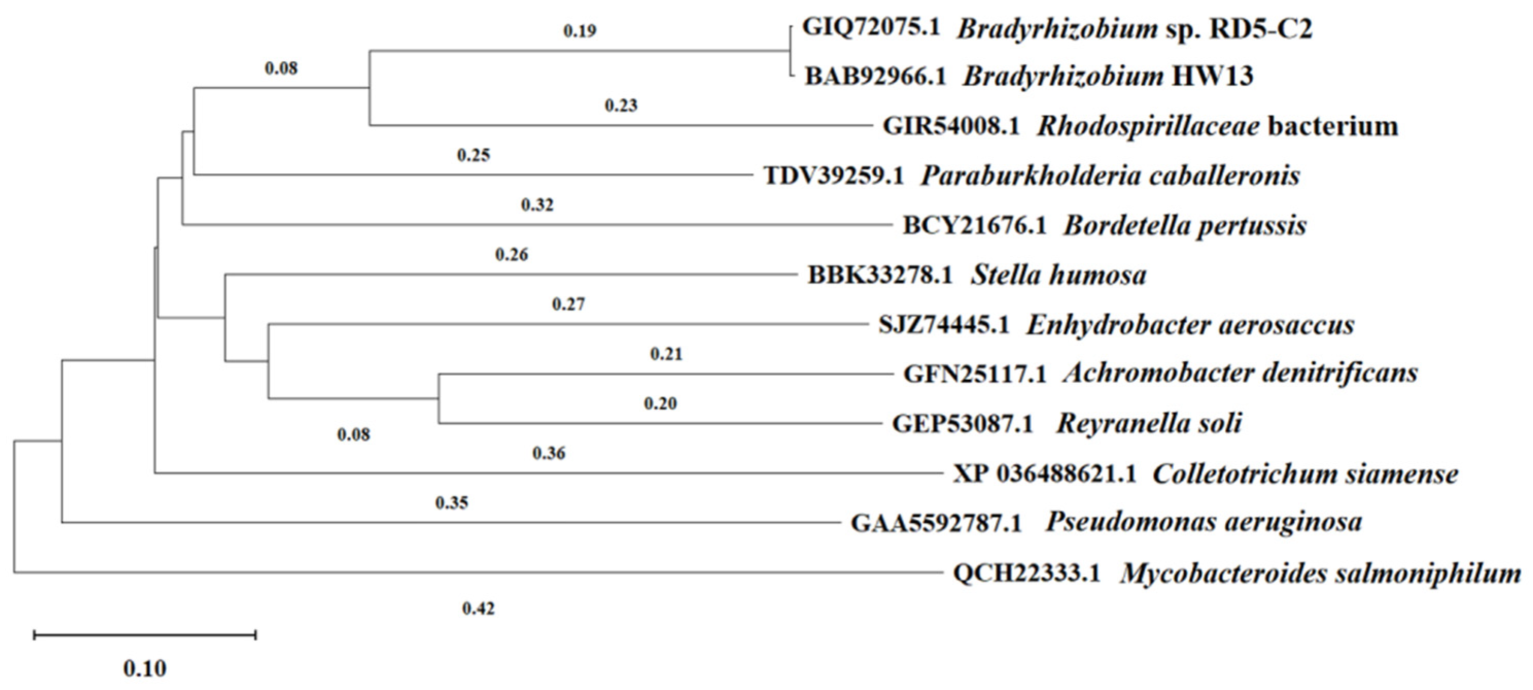 Molecules 29 03869 g007 Molecules 29 03869 g007