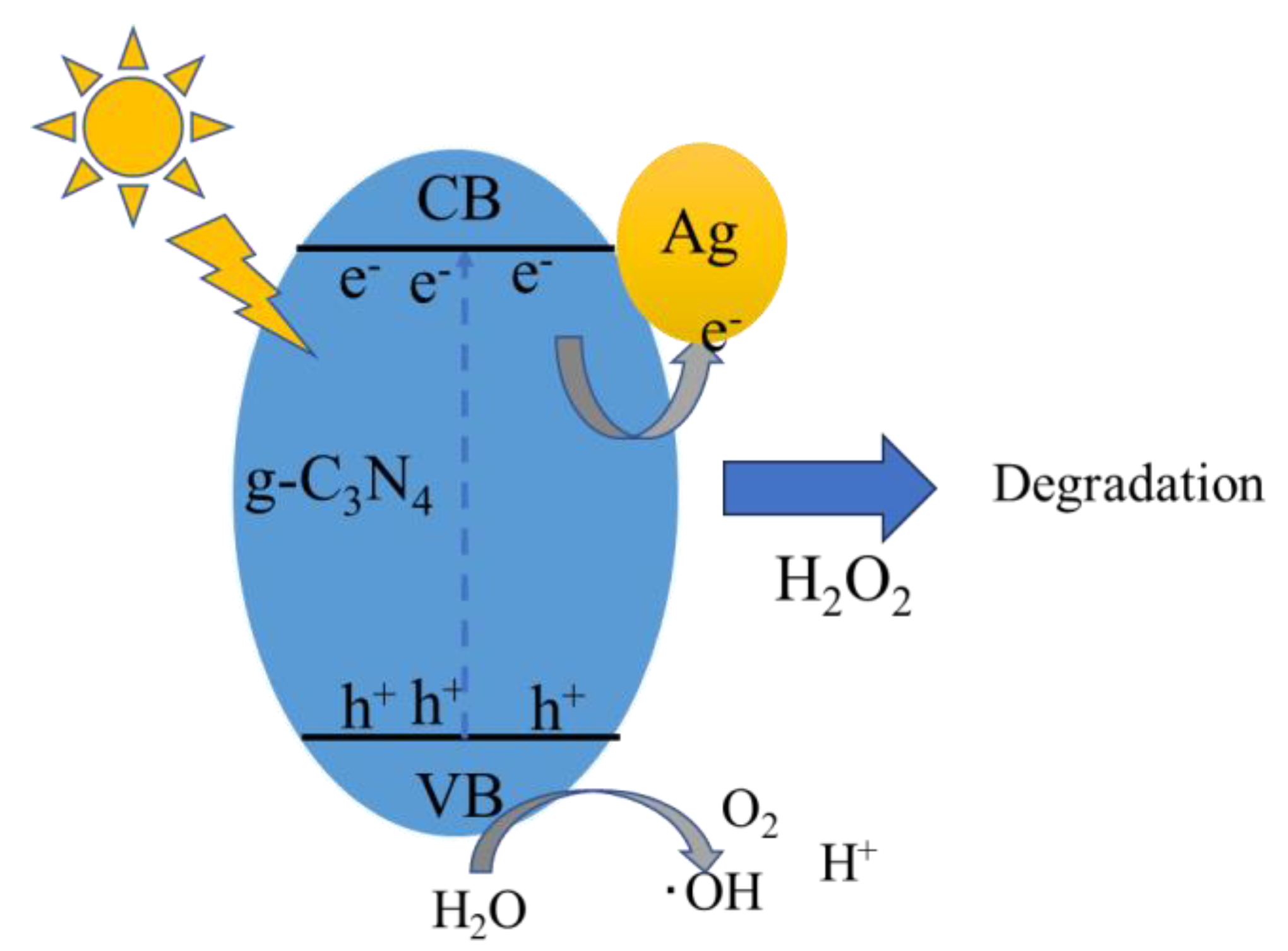 Molecules 29 03871 g014