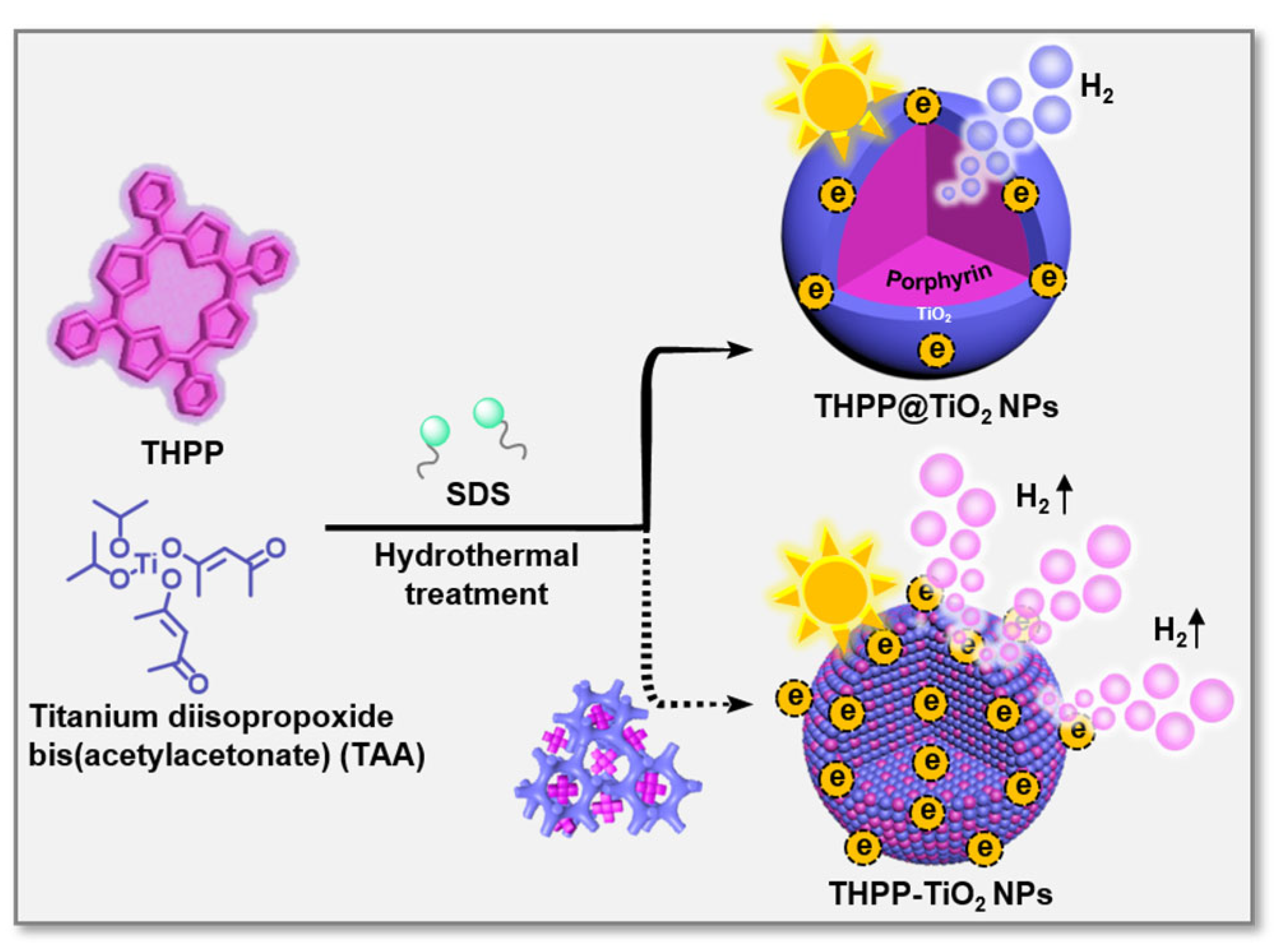 Molecules 29 03872 g001