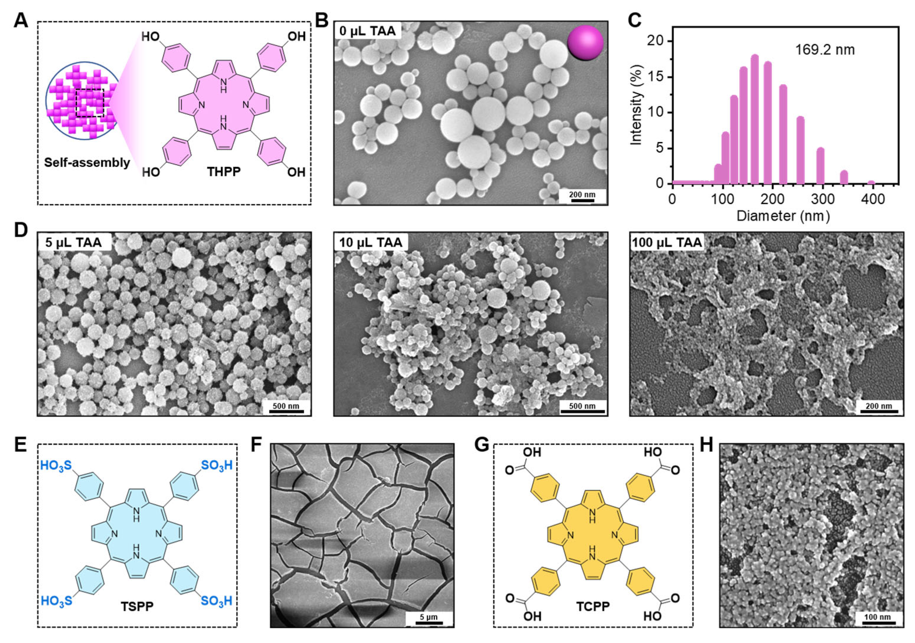 Molecules 29 03872 g002