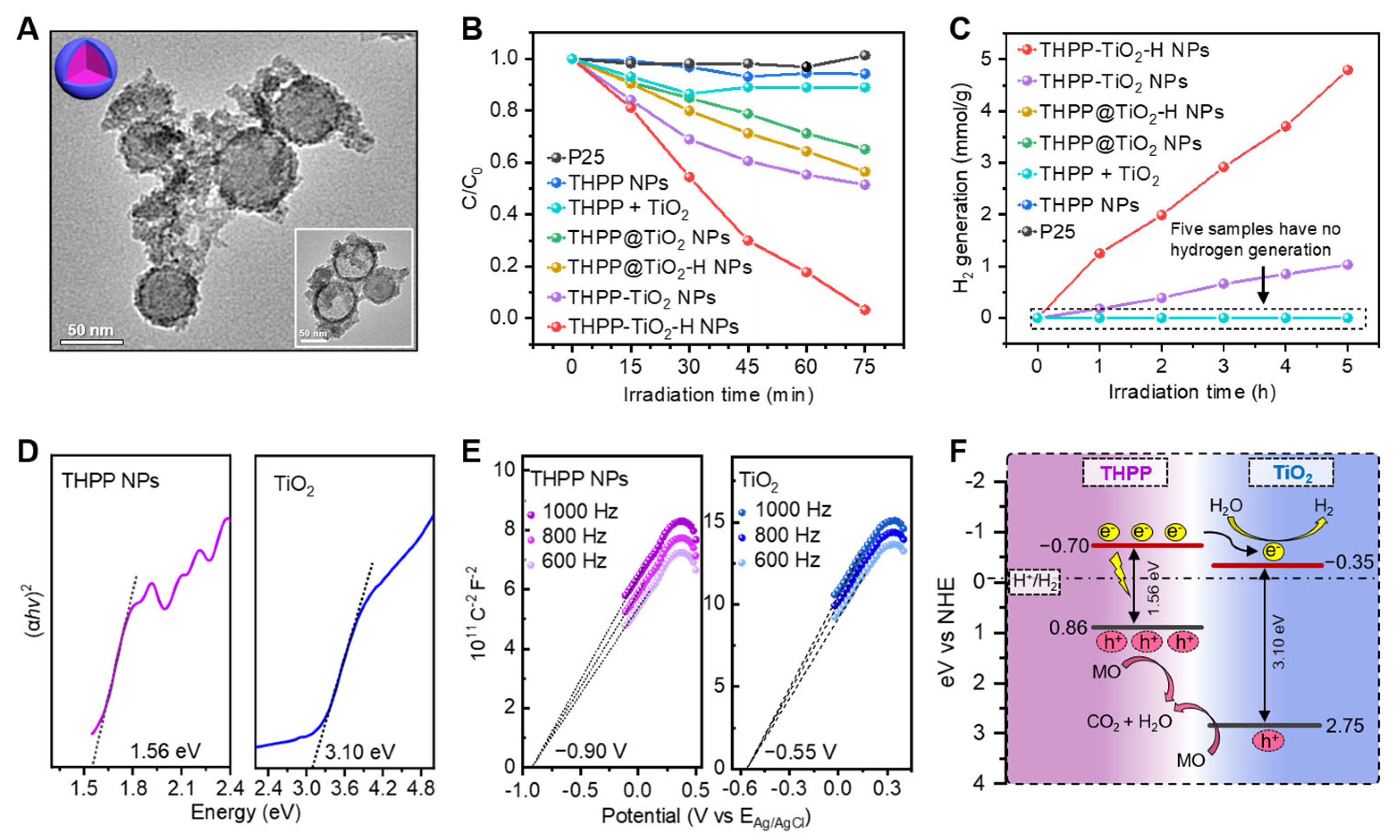 Molecules 29 03872 g005