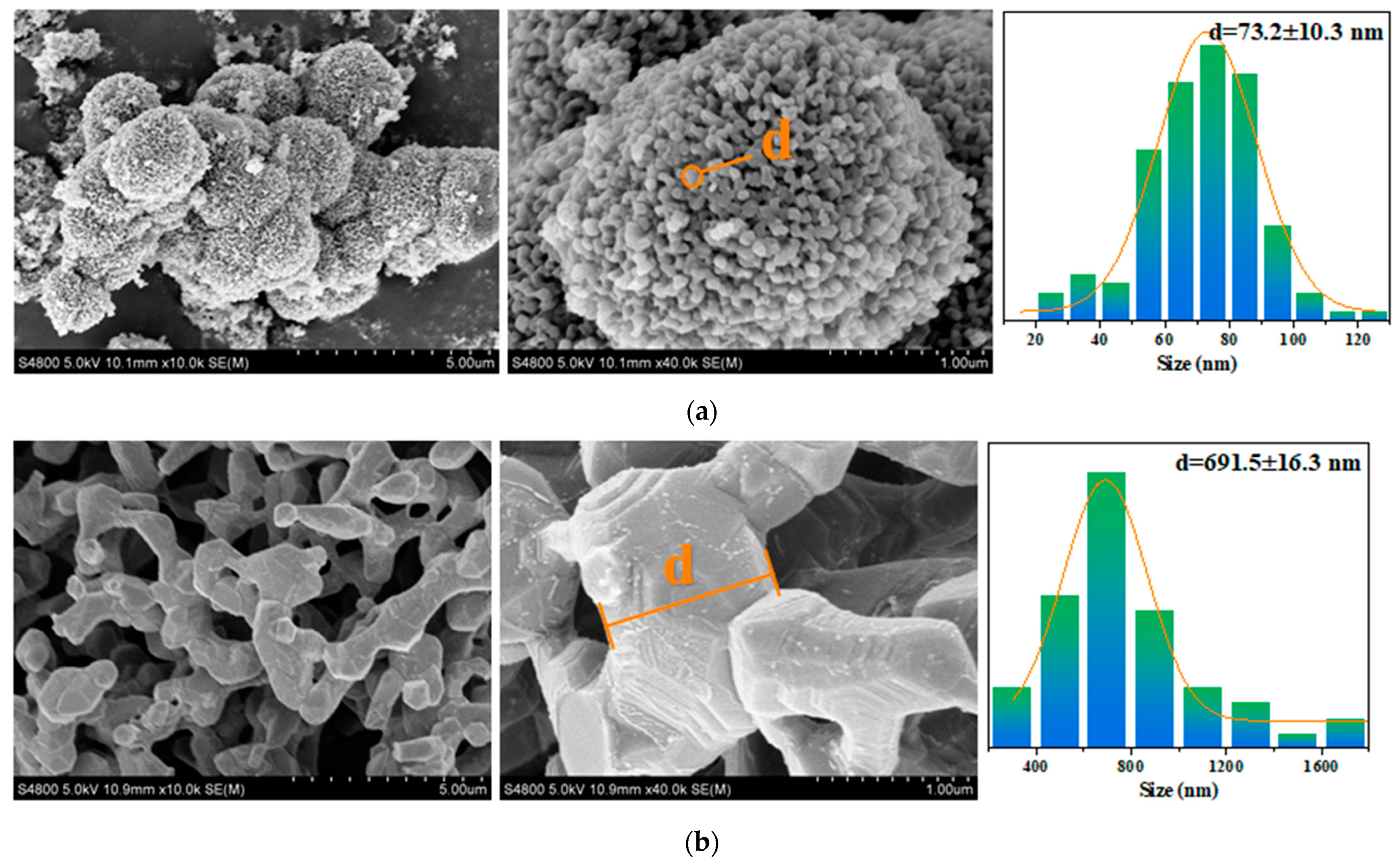 Molecules 29 03873 g004