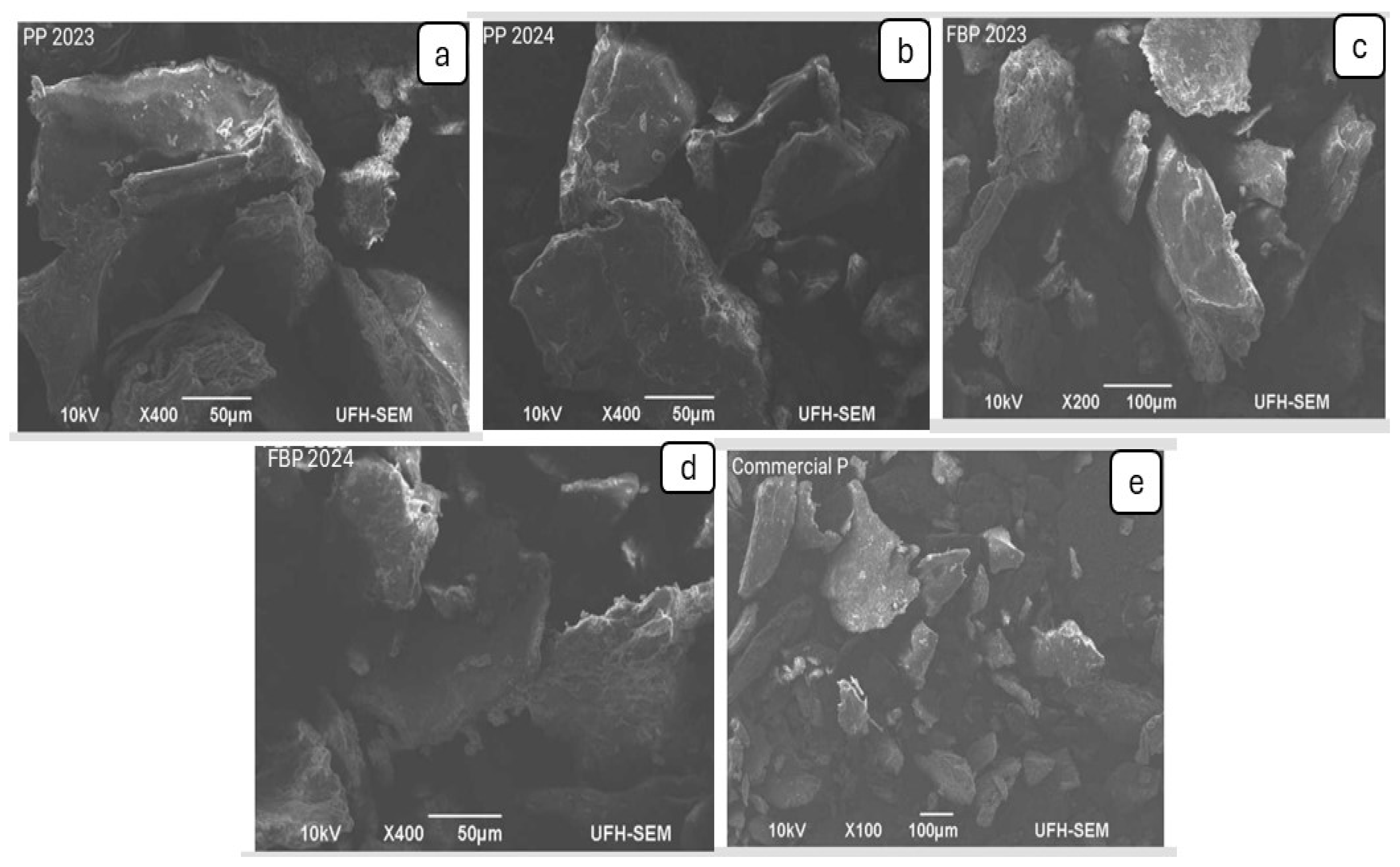 Molecules 29 03878 g002