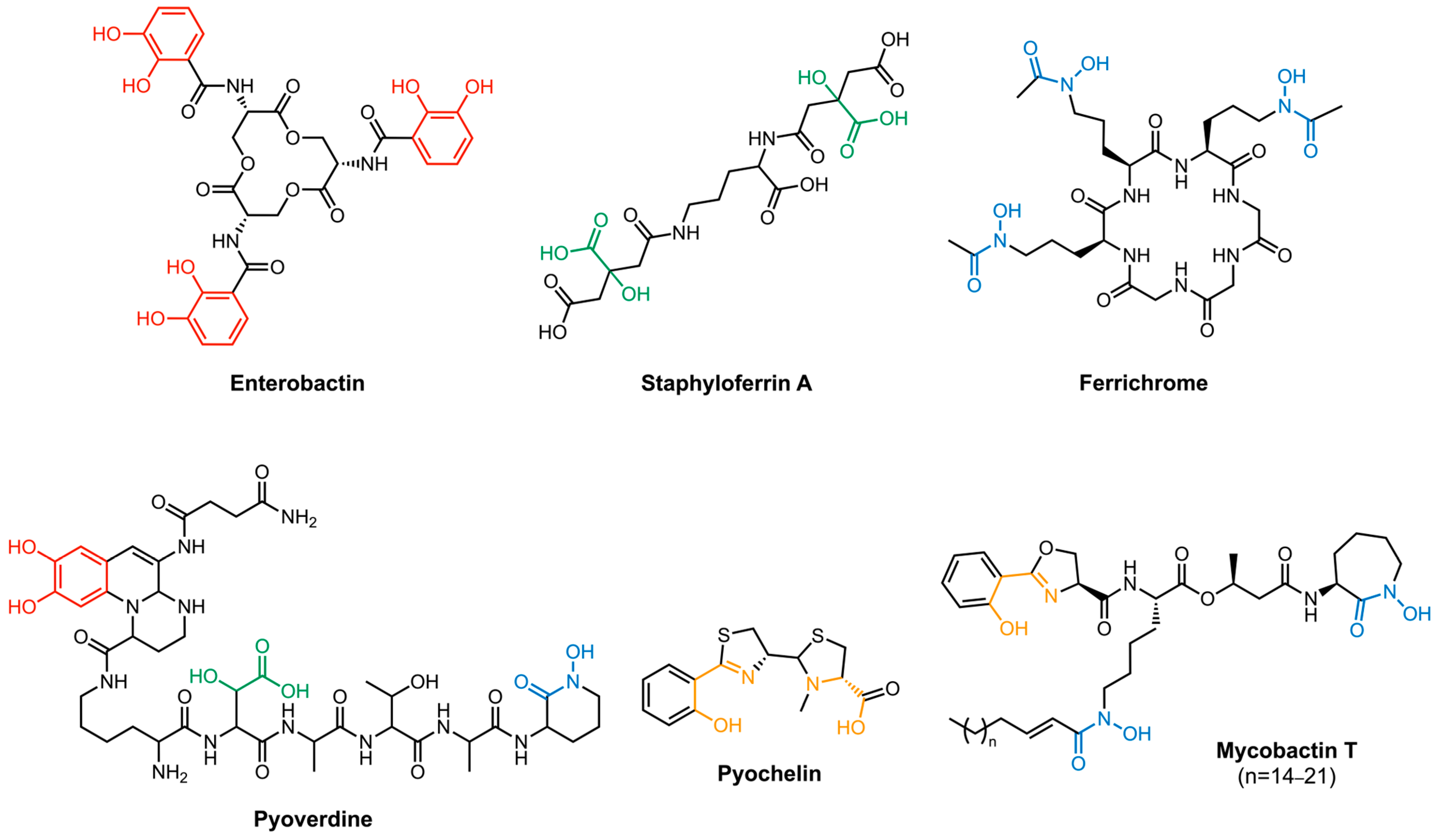 Molecules 29 03889 g002