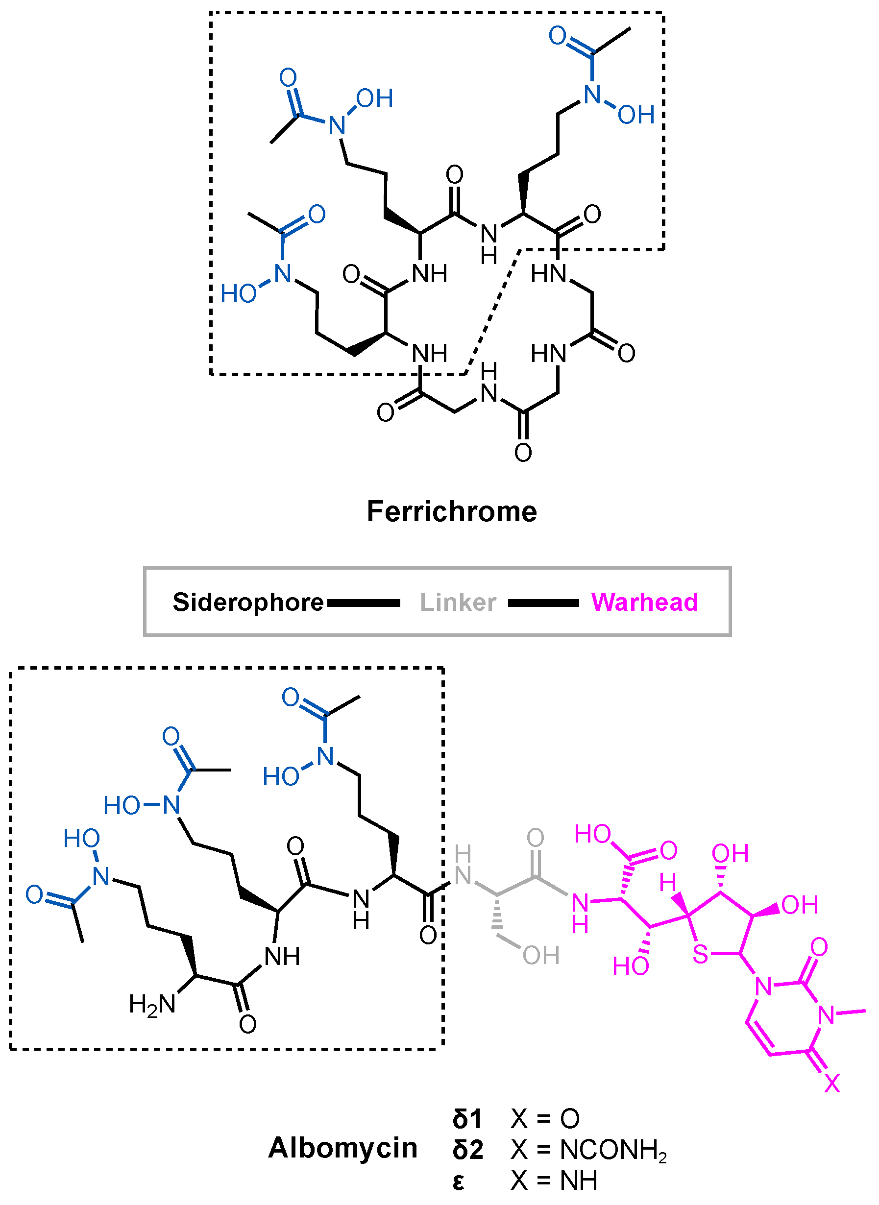 Molecules 29 03889 g003