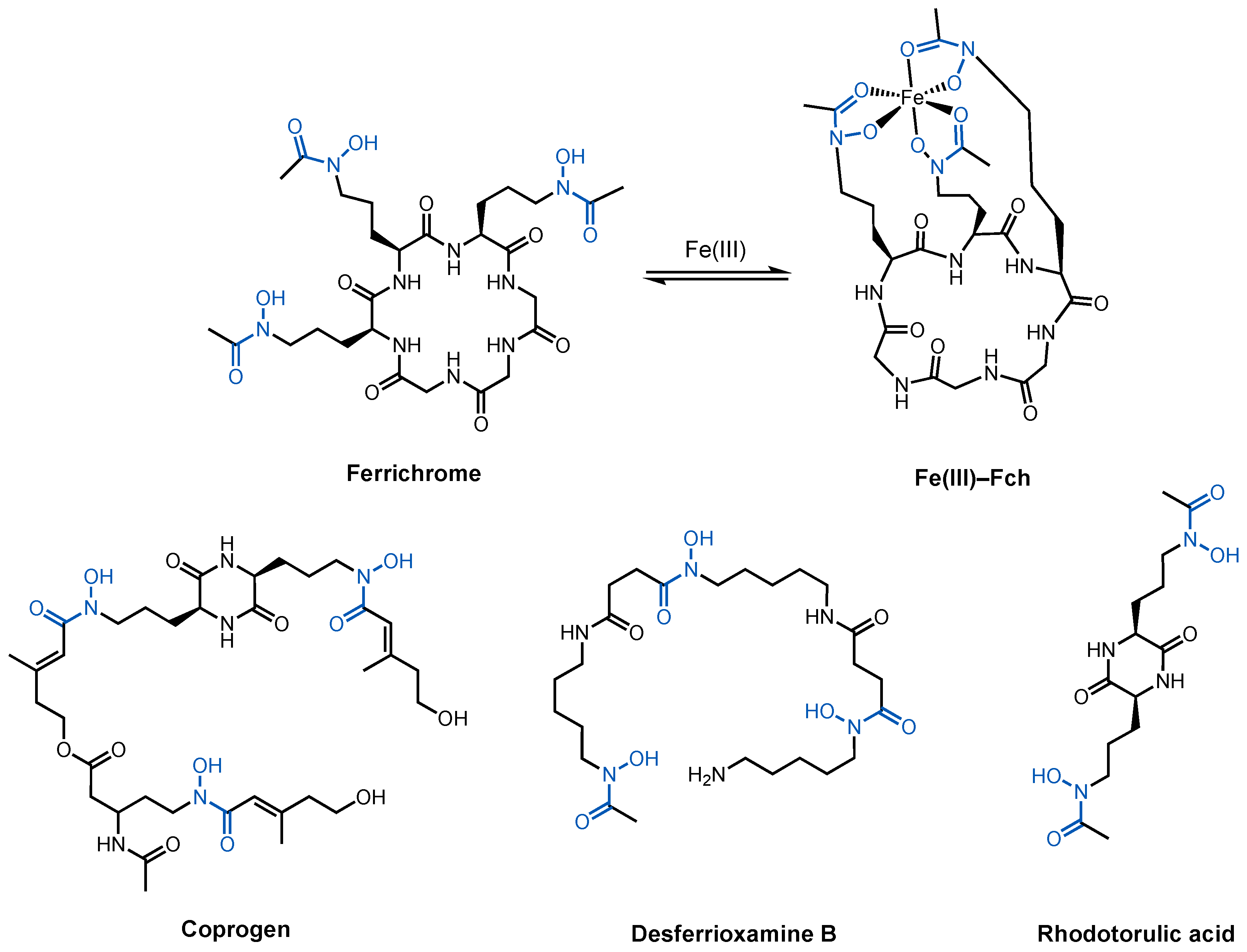 Molecules 29 03889 g007