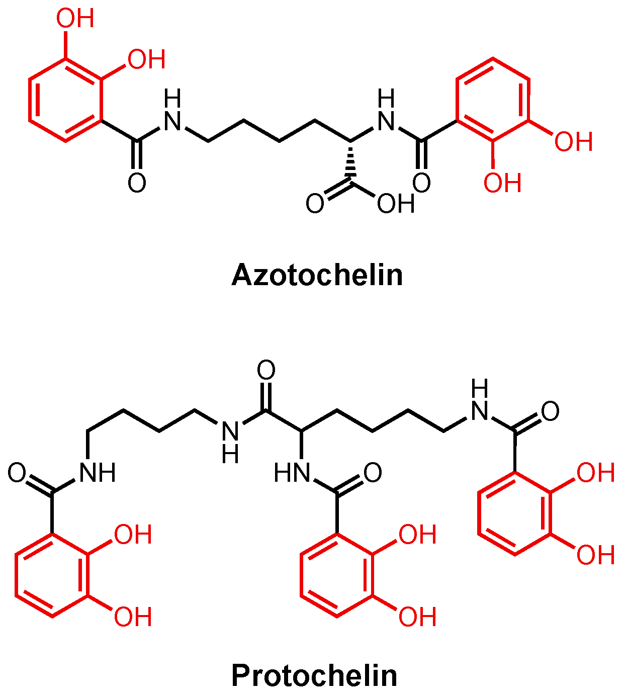 Molecules 29 03889 g010