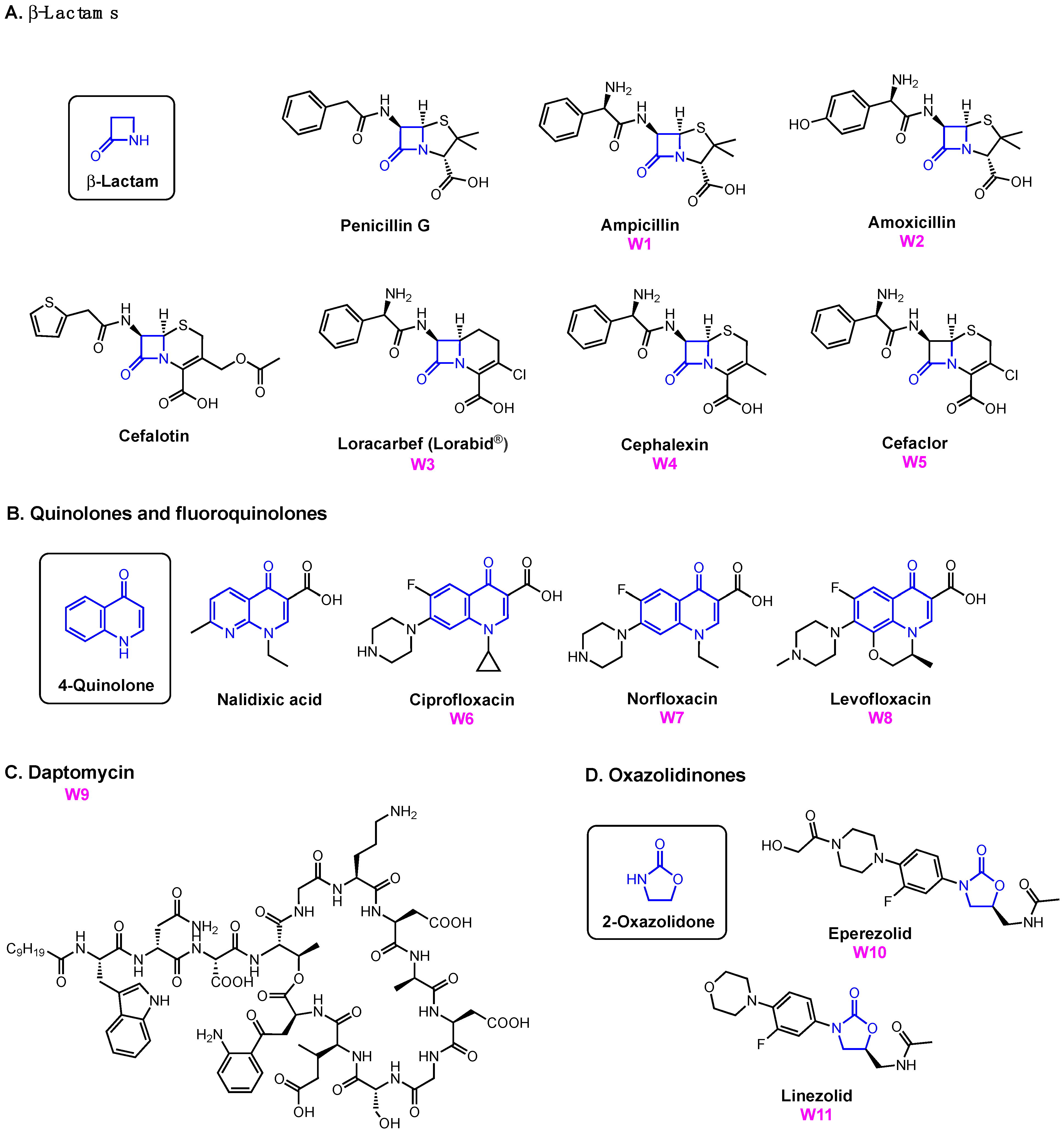 Molecules 29 03889 g012