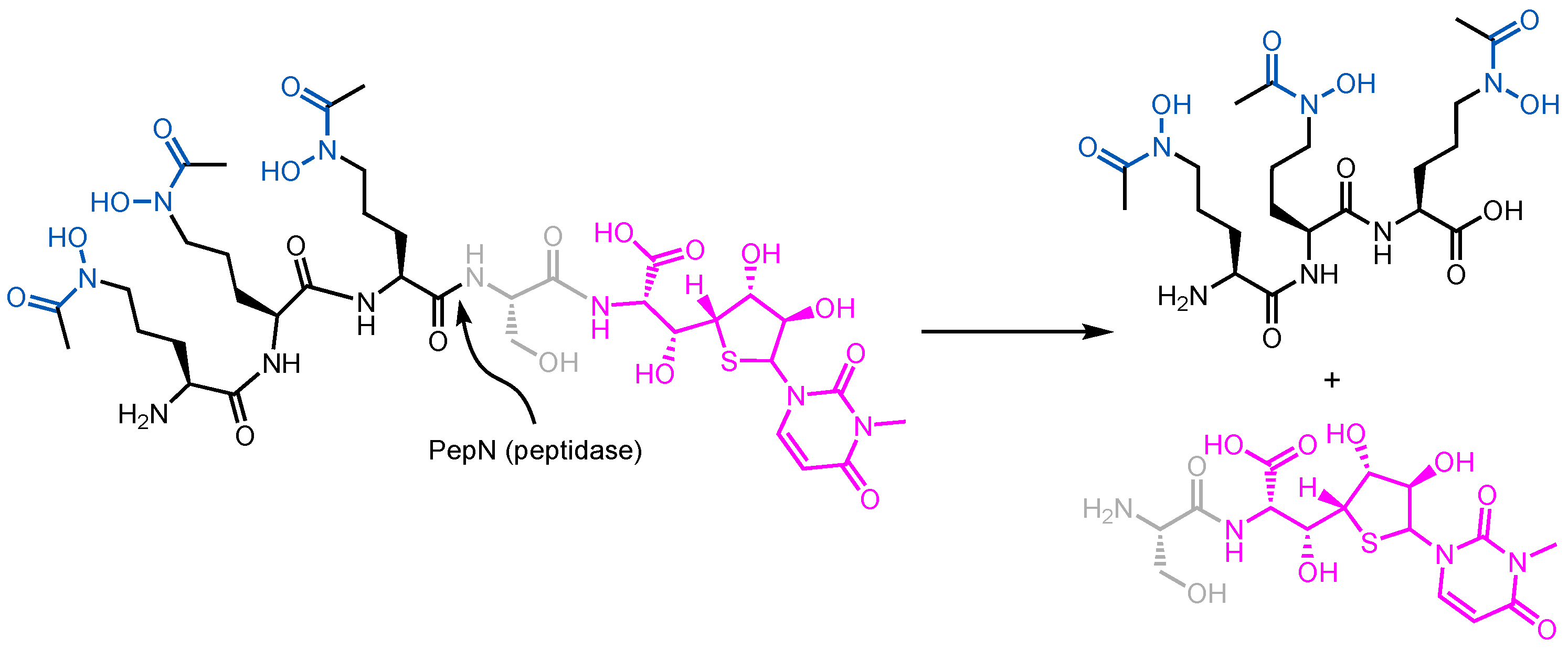 Molecules 29 03889 g013