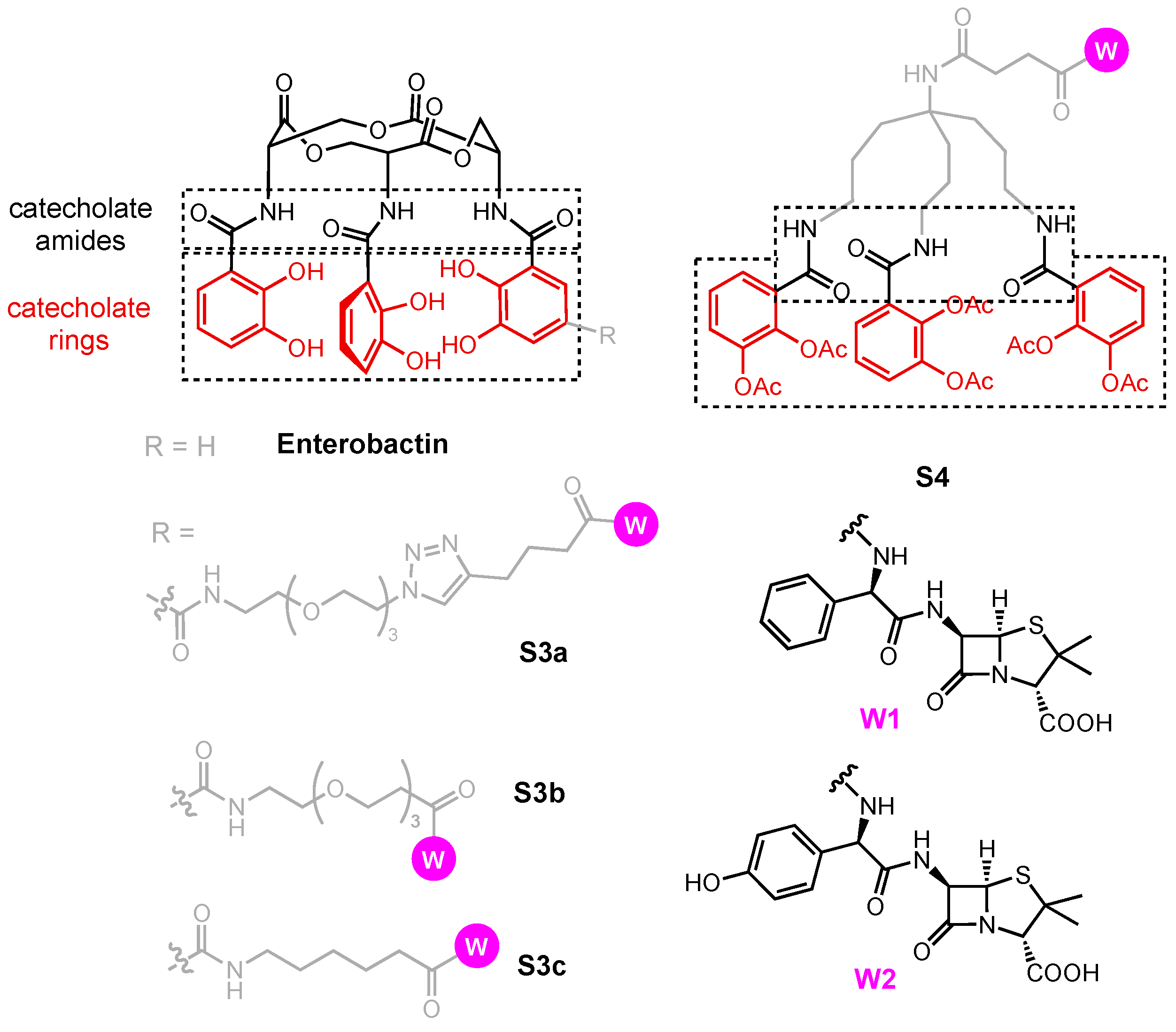 Molecules 29 03889 g015