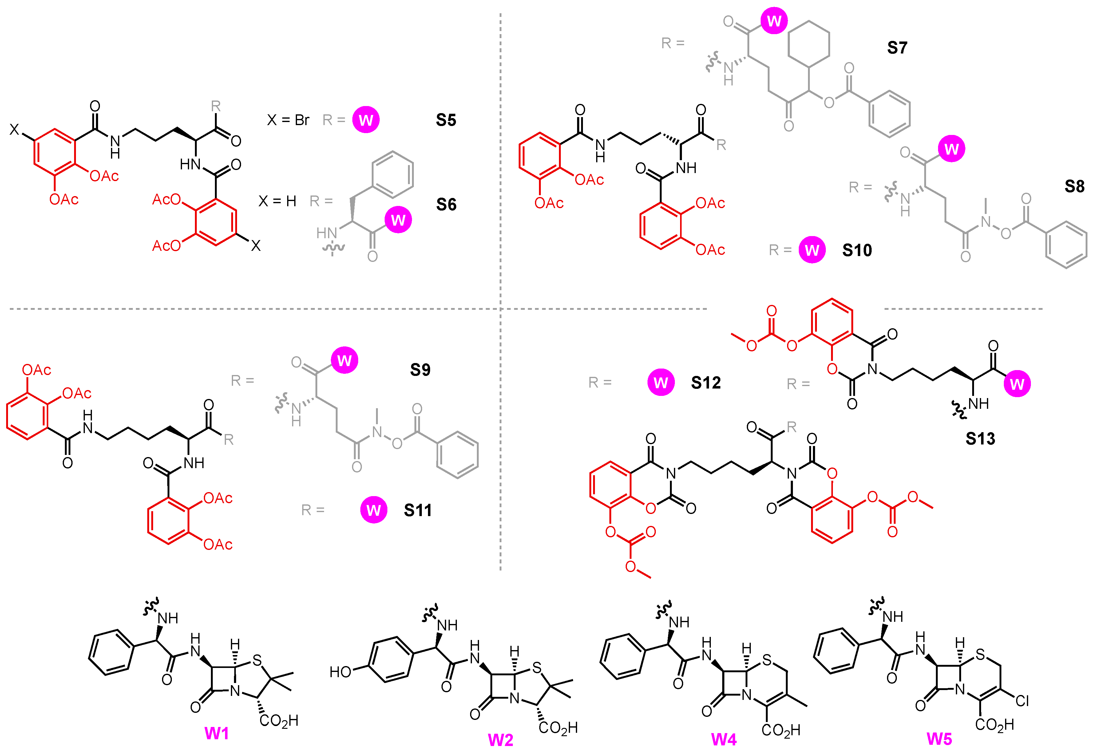 Molecules 29 03889 g016