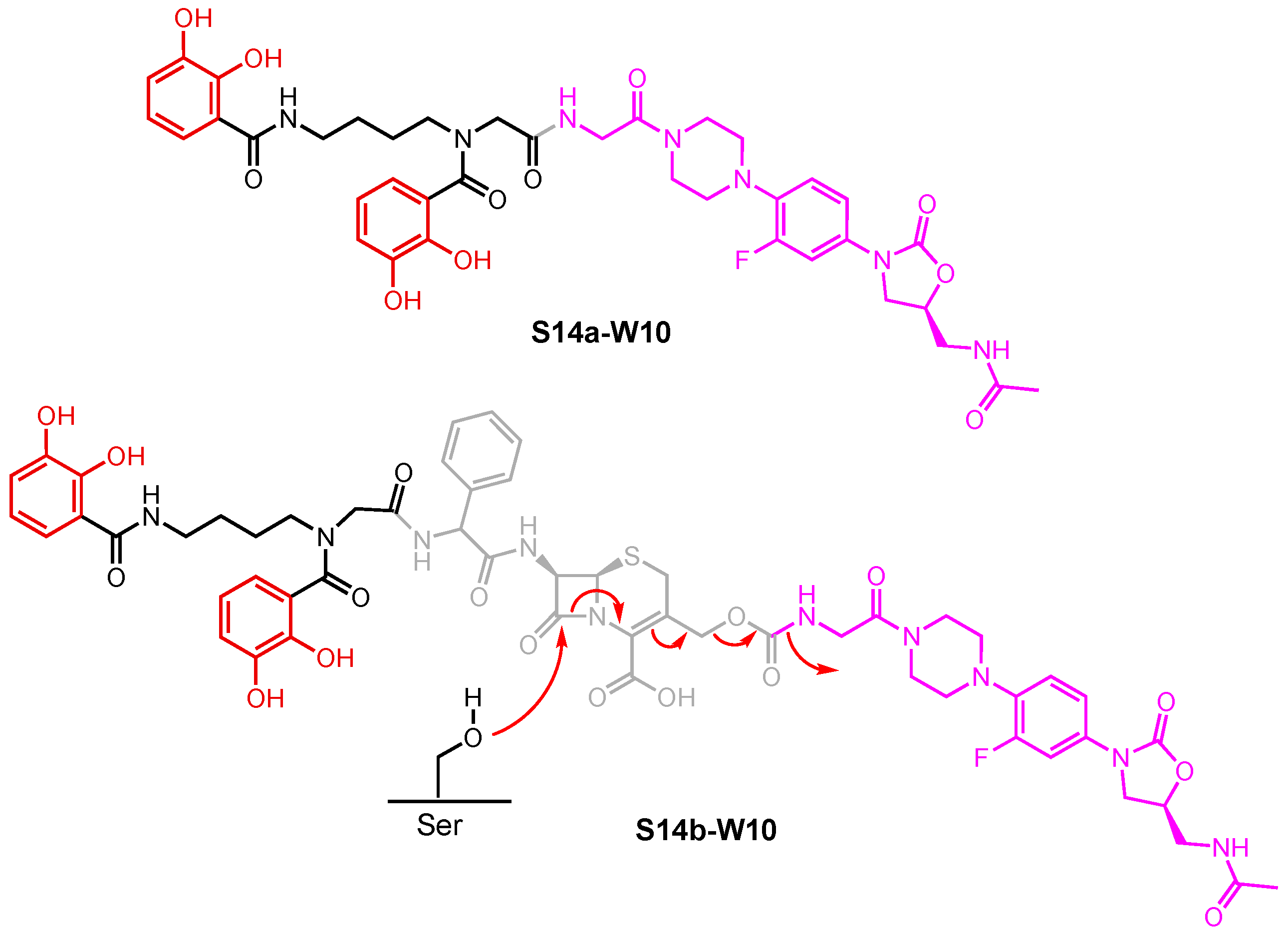 Molecules 29 03889 g017