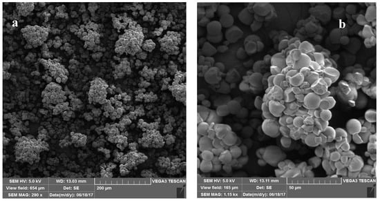 Molecules 29 03894 g003a Molecules 29 03894 g003a