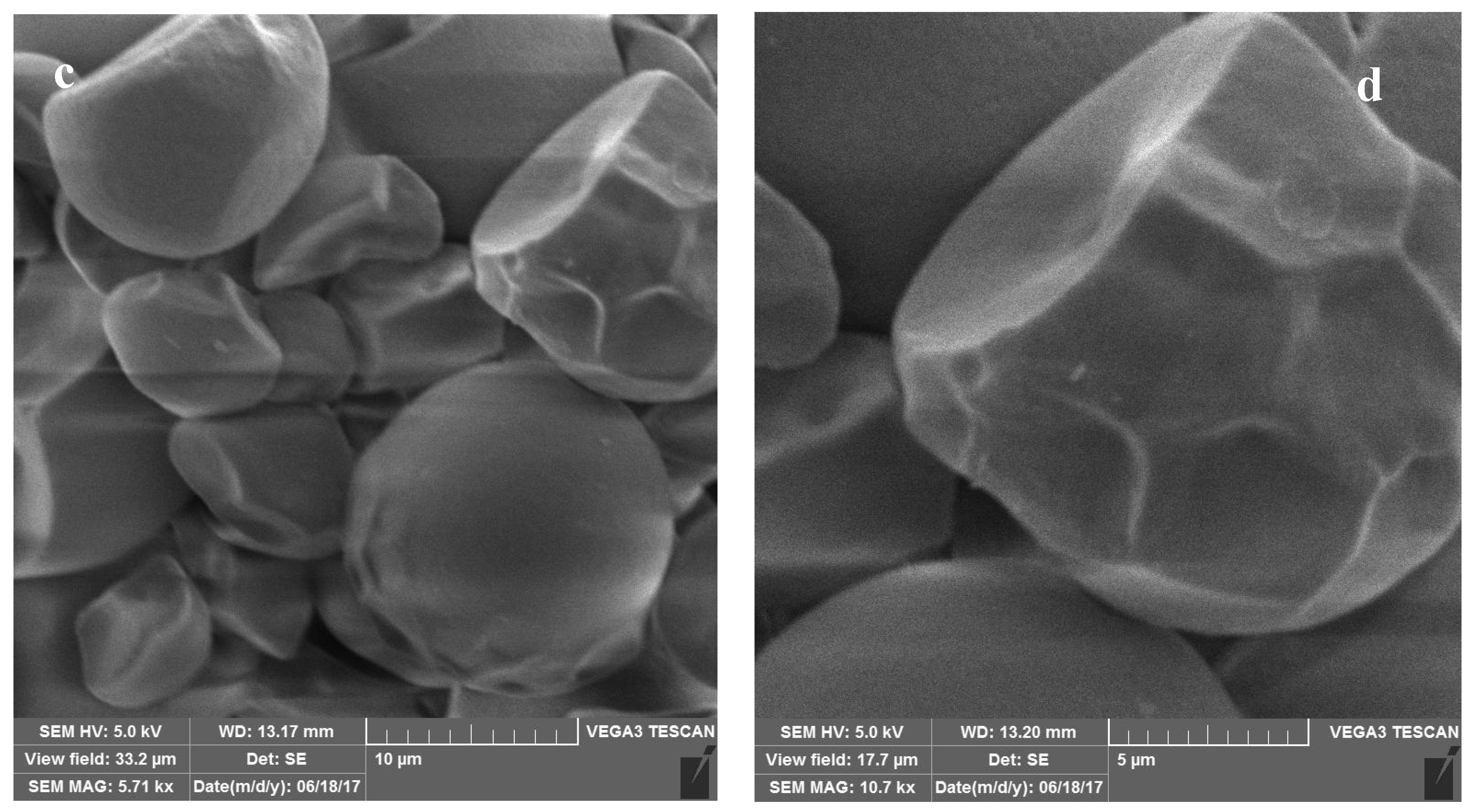 Molecules 29 03894 g003b Molecules 29 03894 g003b