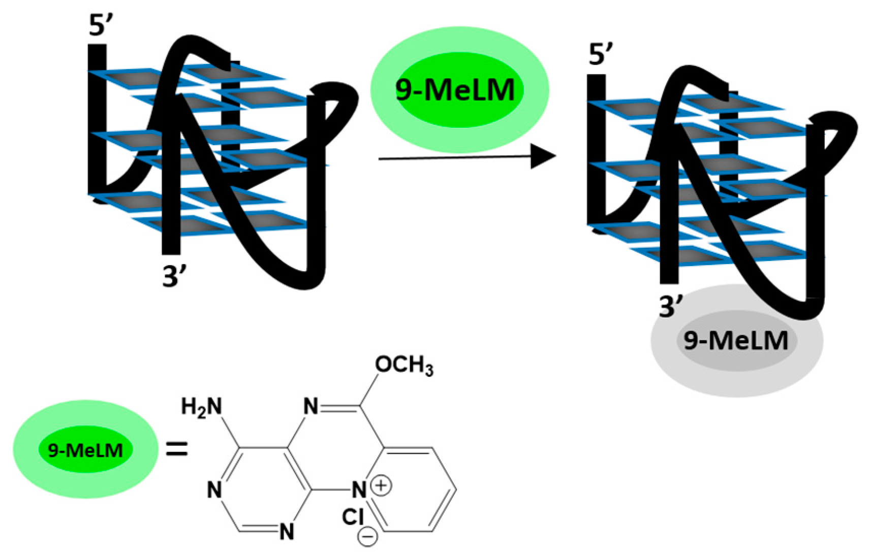 Molecules 29 03907 g001