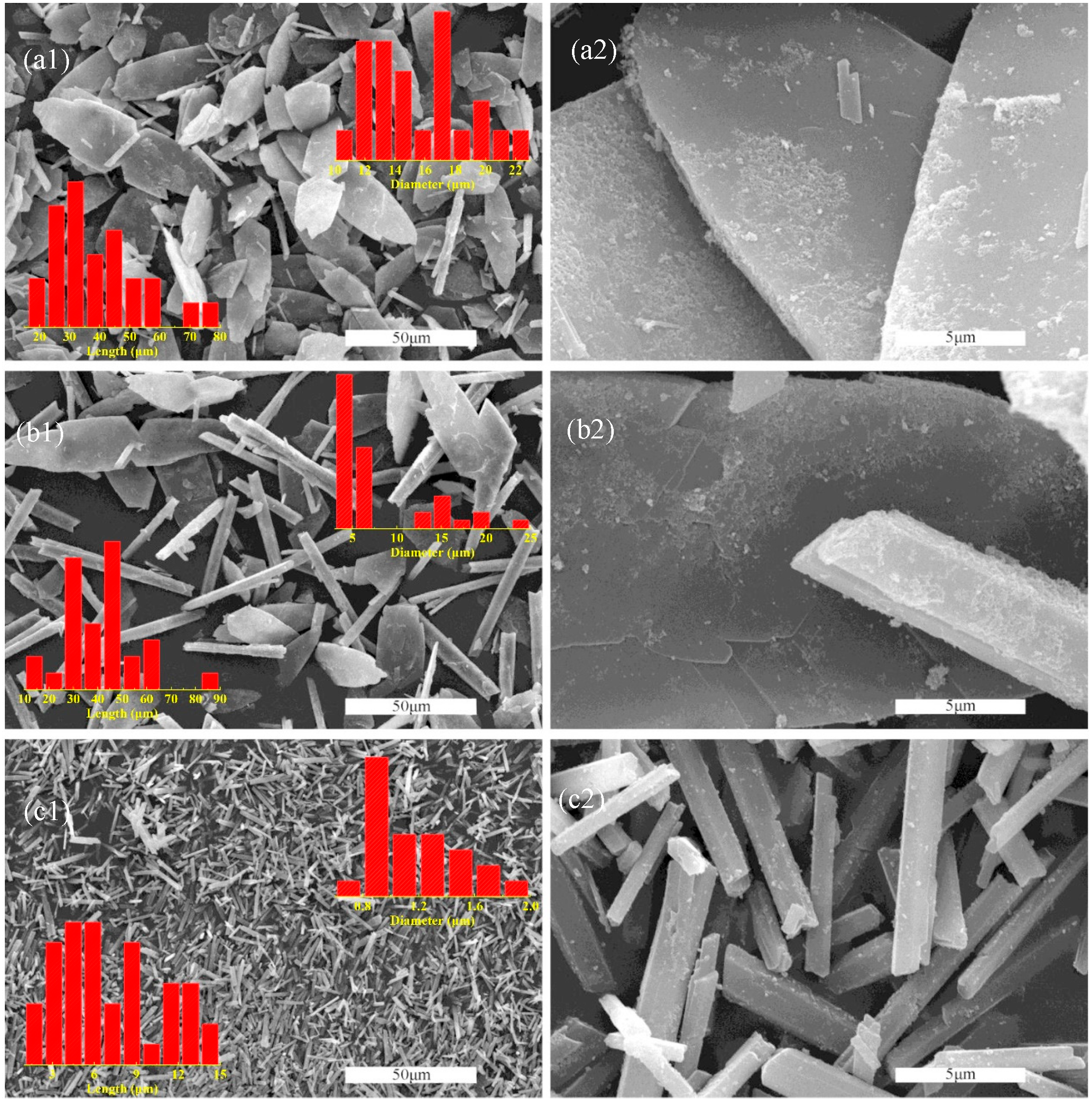 Molecules 29 03910 g001 Molecules 29 03910 g001