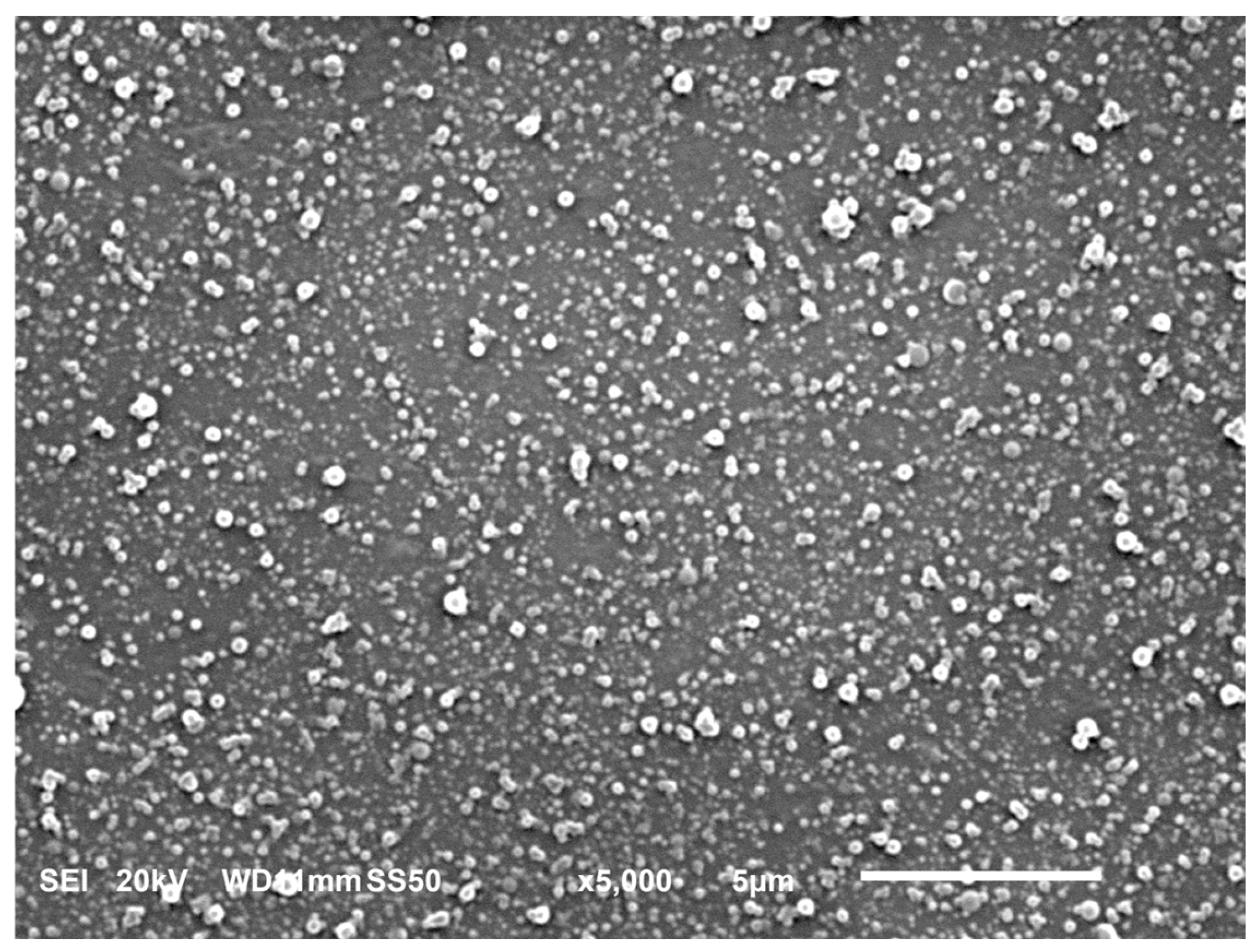 Molecules 29 03911 g006