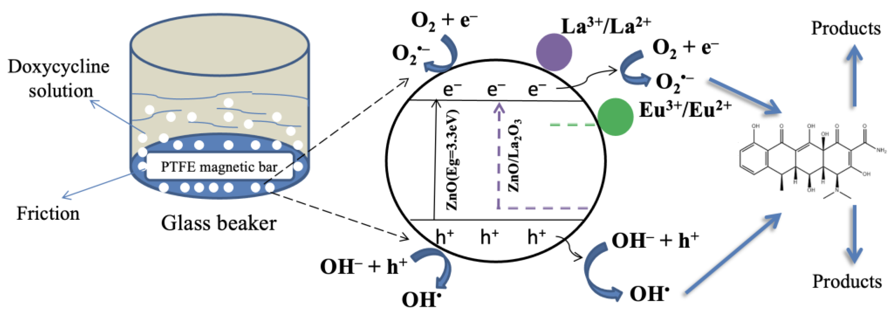 Molecules 29 03913 g009