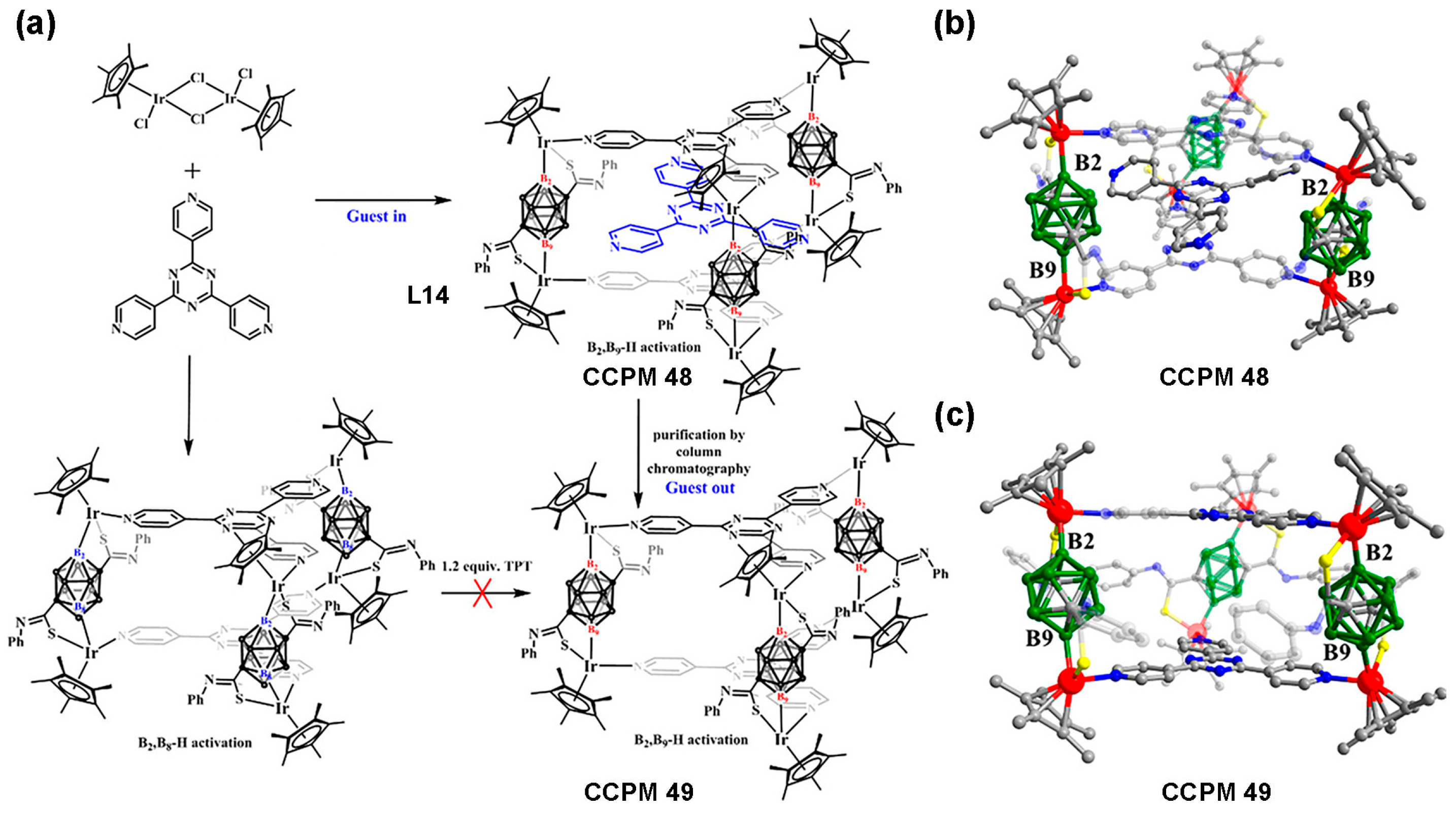 Molecules 29 03916 g005