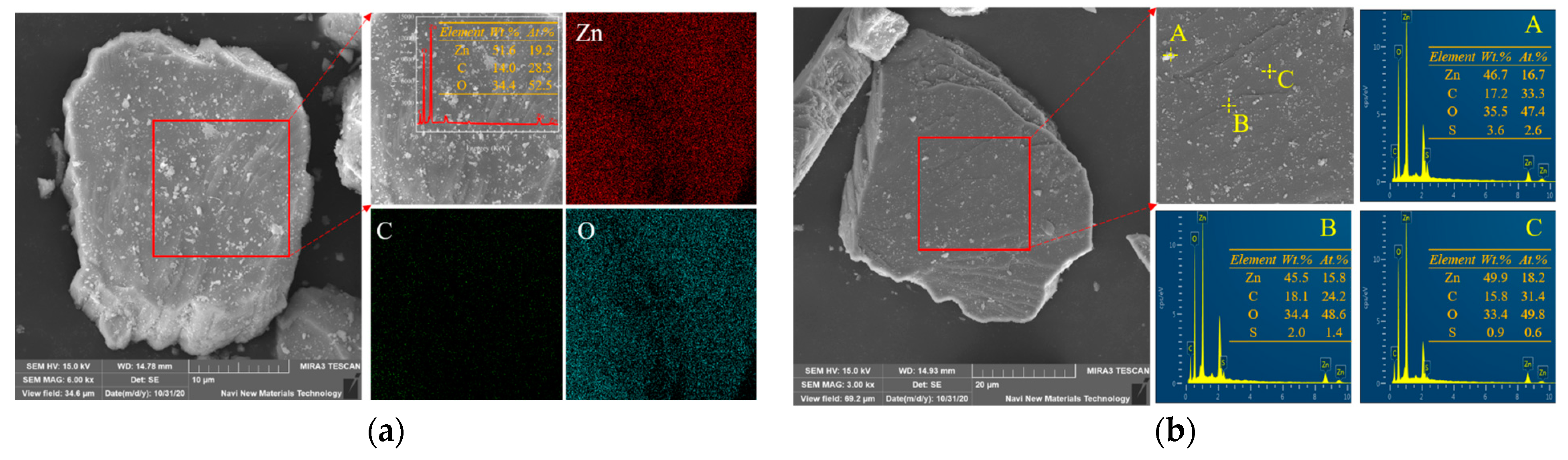 Molecules 29 03921 g001