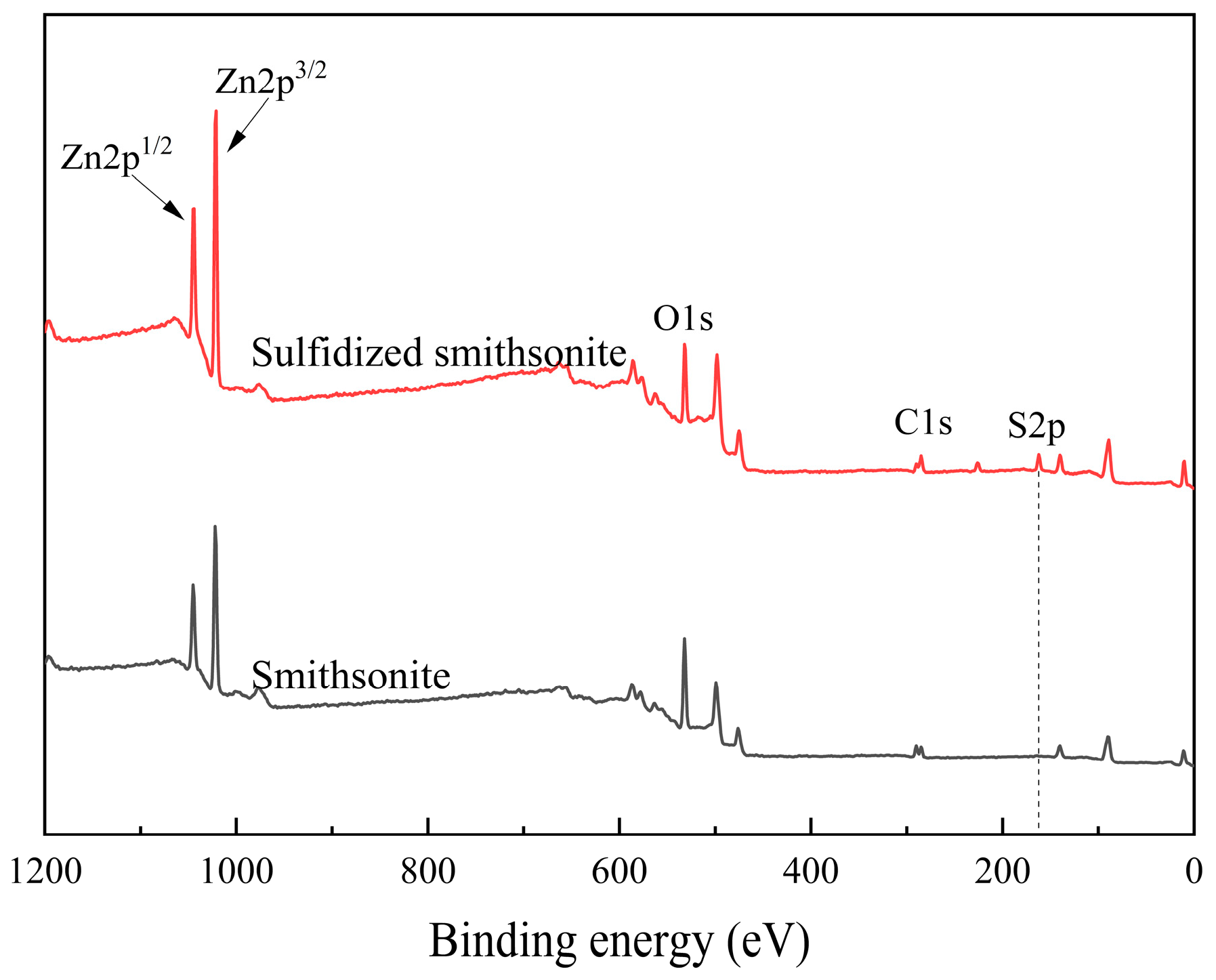 Molecules 29 03921 g003