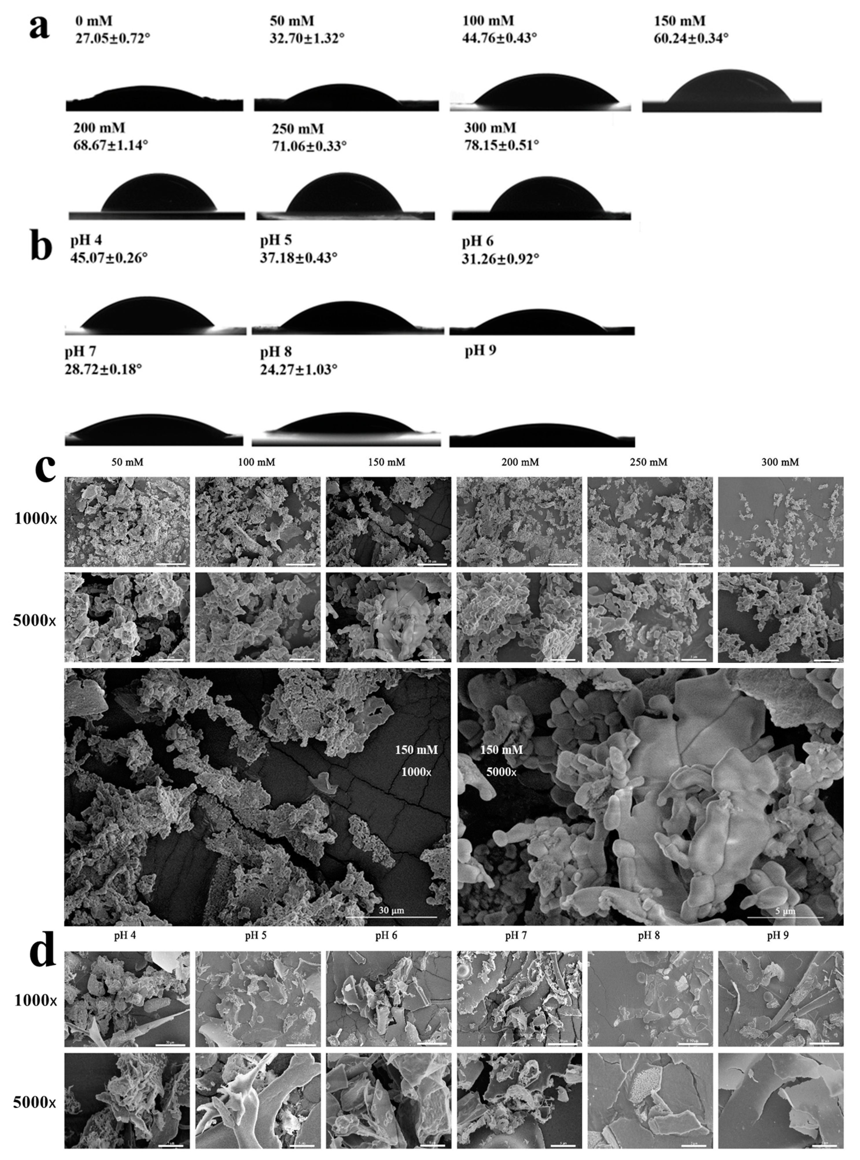 Molecules 29 03923 g003