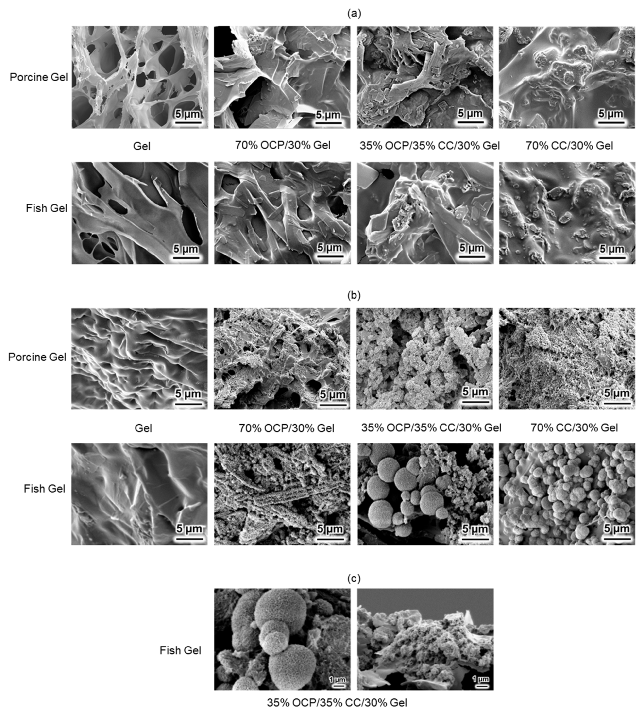 Molecules 29 03925 g008