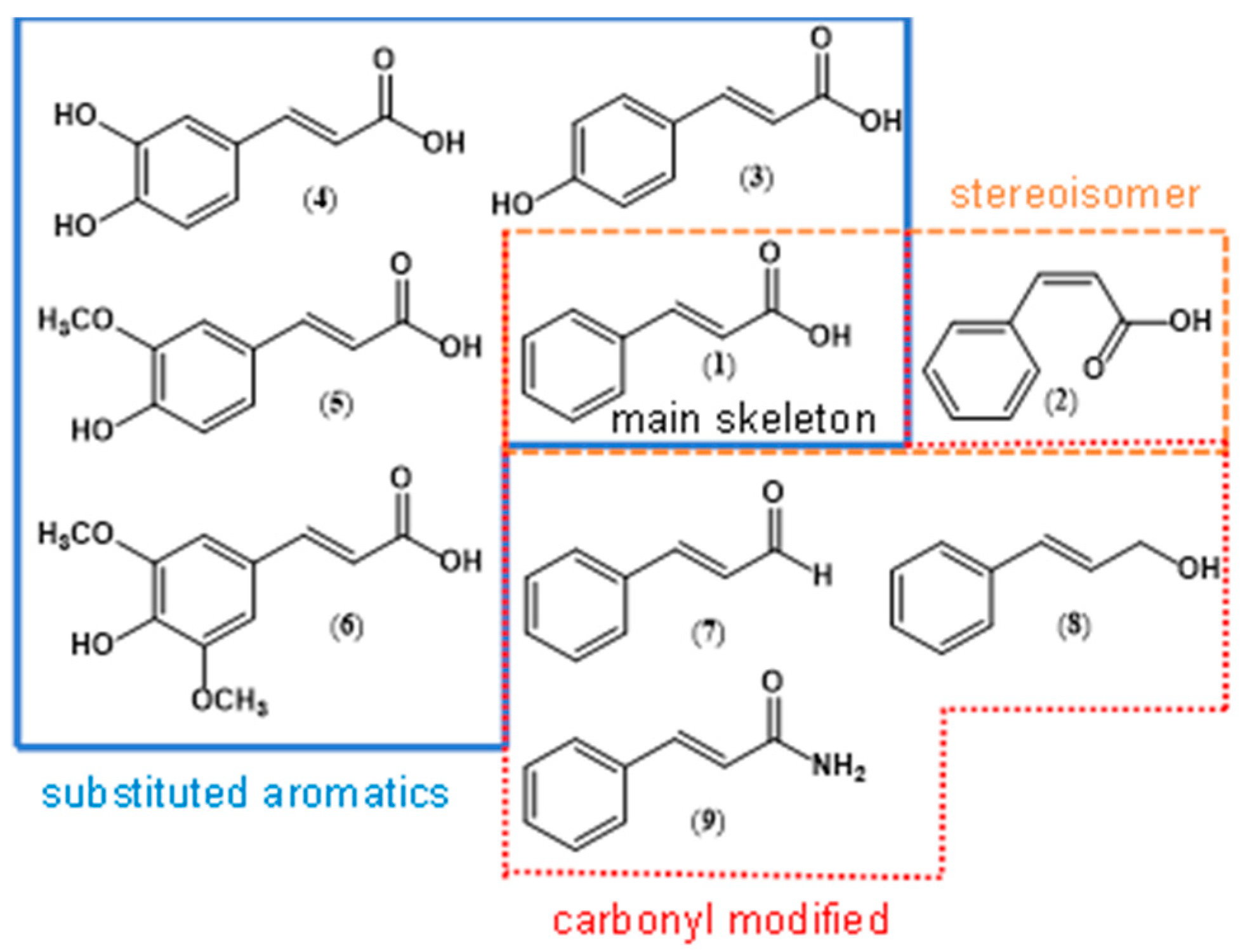 Molecules 29 03929 g001