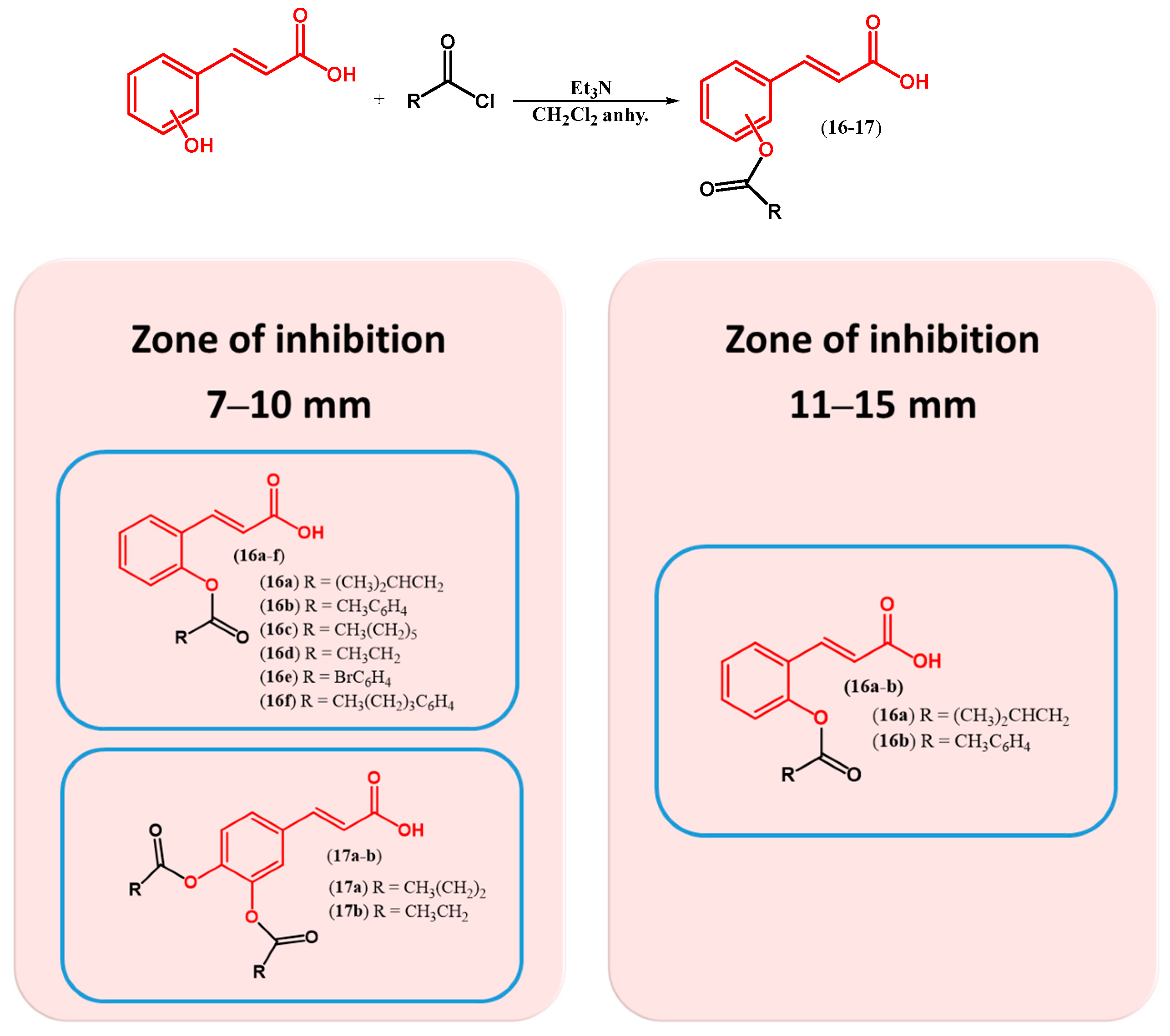 Molecules 29 03929 sch001