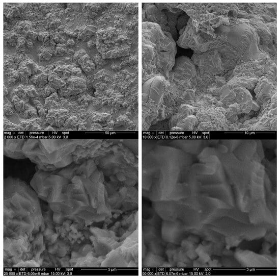 Molecules 29 03932 g0a13