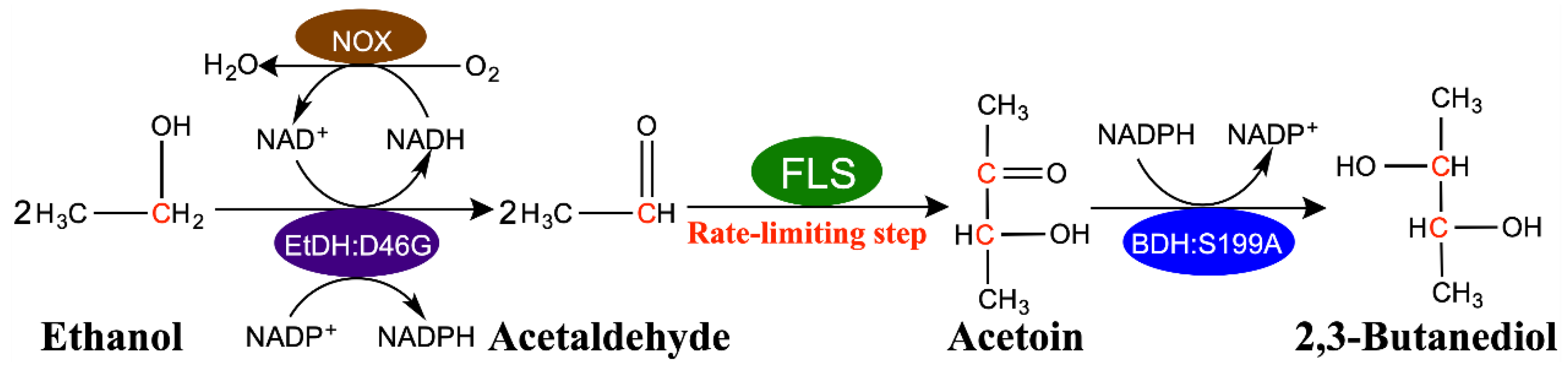 Molecules 29 03934 g001