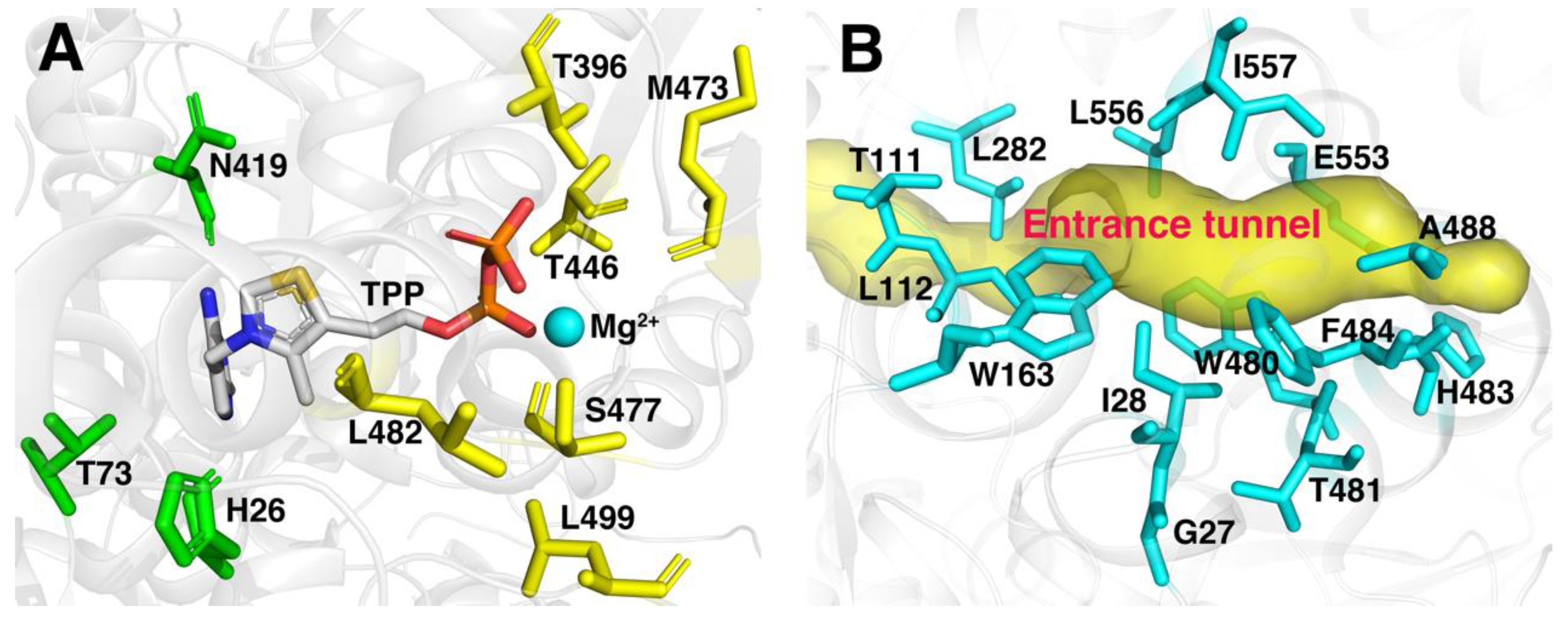 Molecules 29 03934 g002