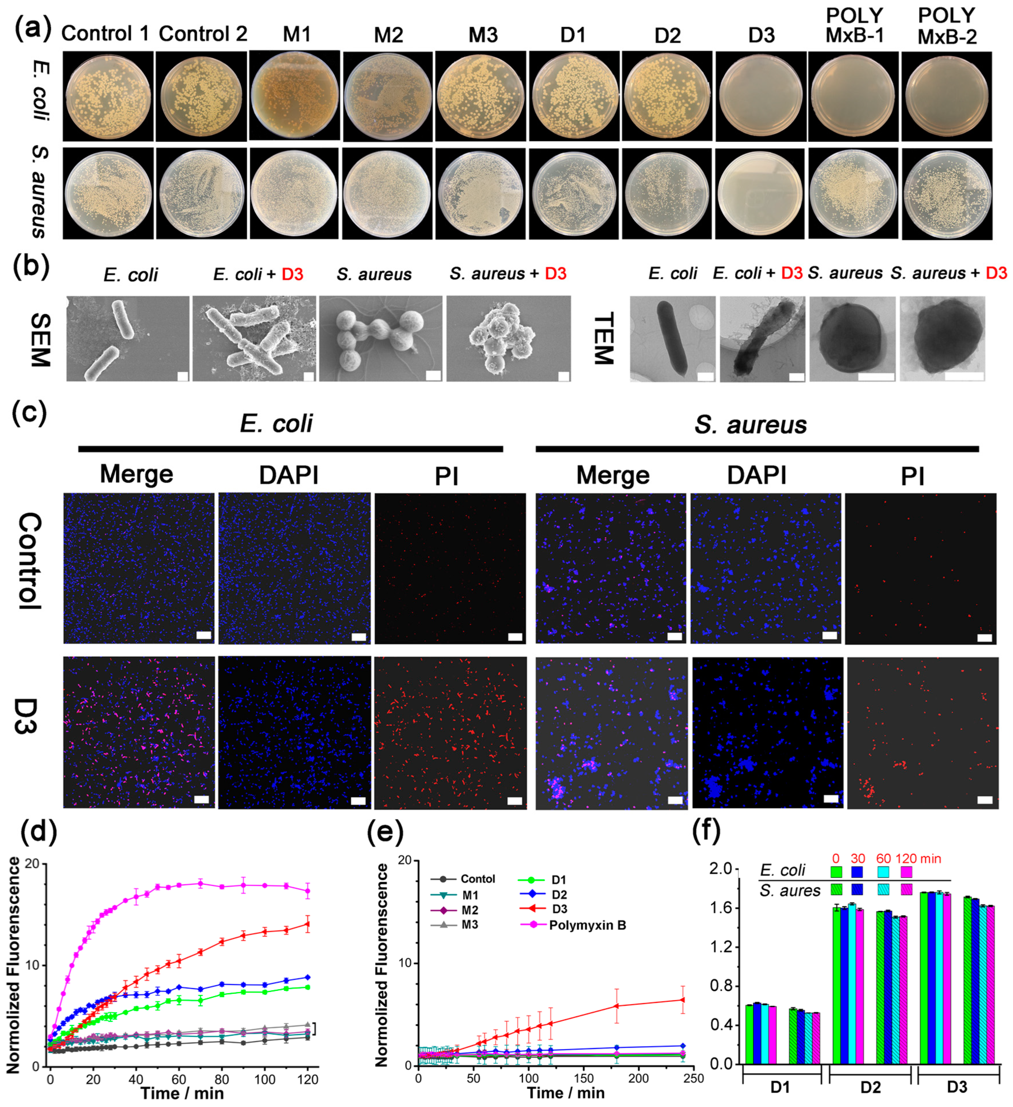 Molecules 29 03937 g001