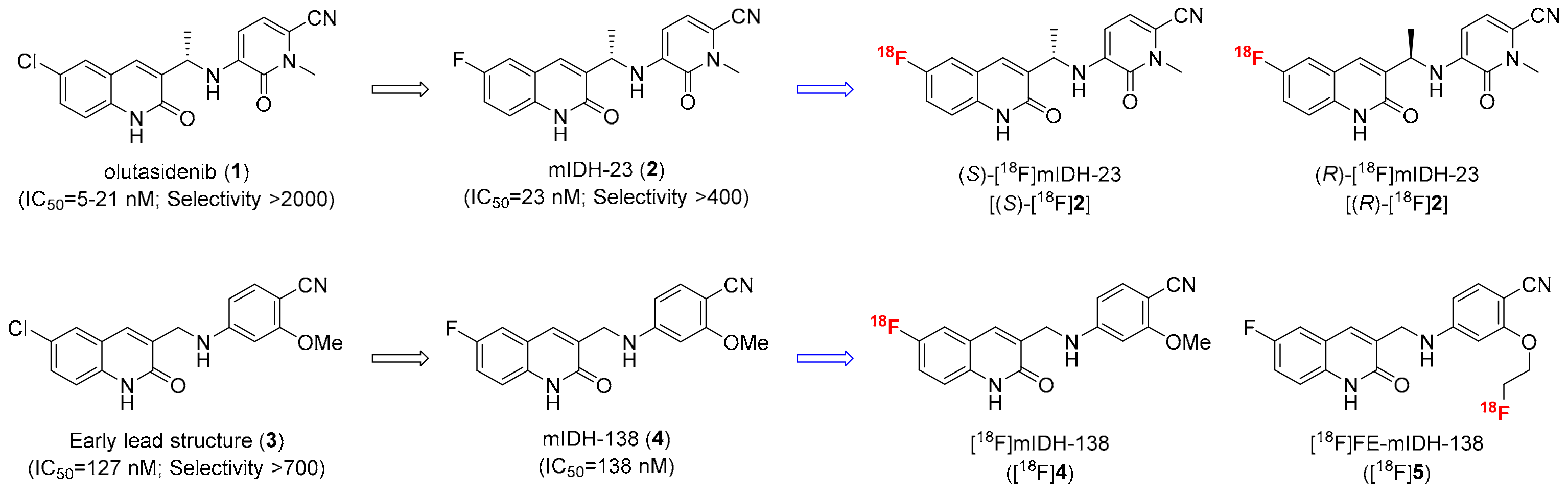 Molecules 29 03939 g002