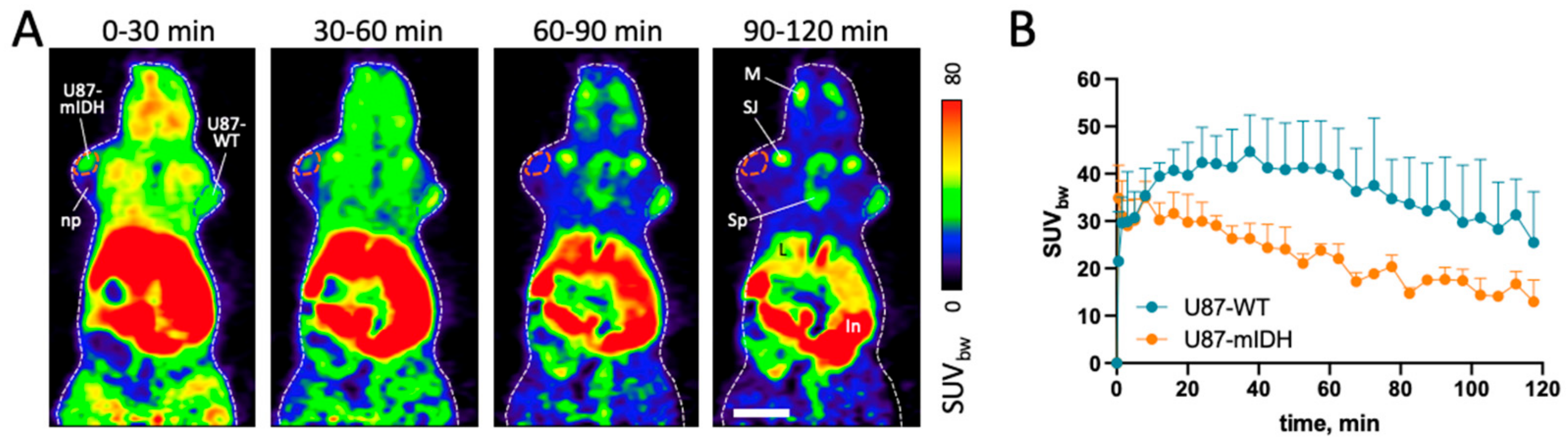 Molecules 29 03939 g006