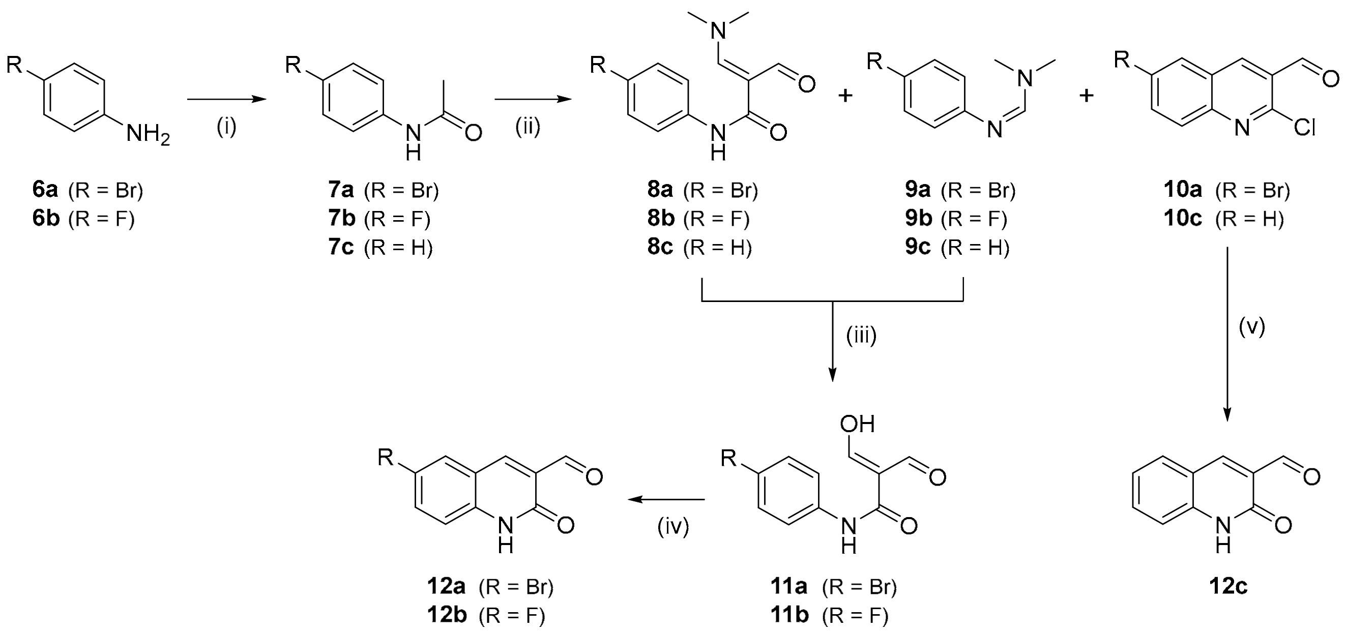 Molecules 29 03939 sch001
