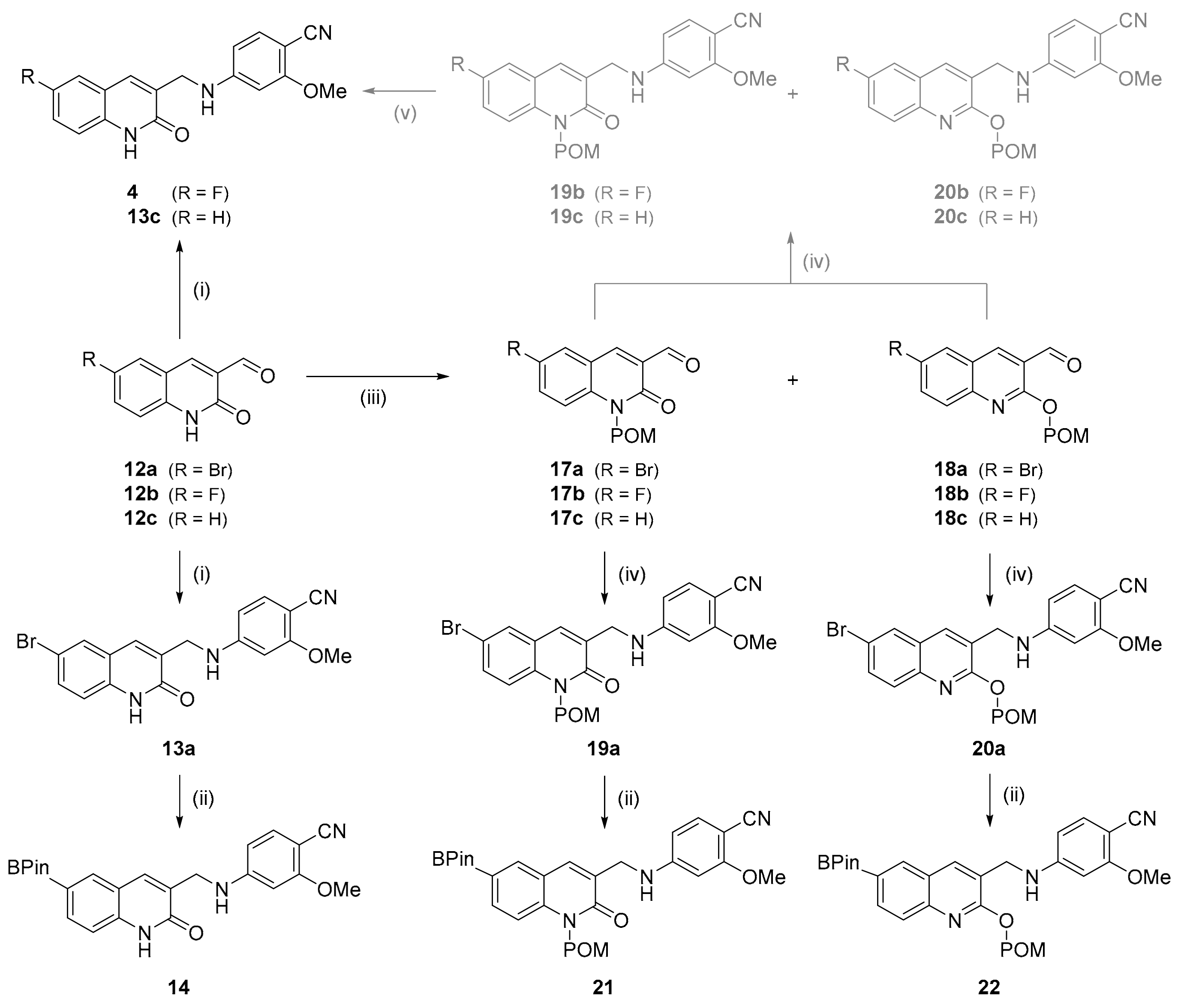 Molecules 29 03939 sch002