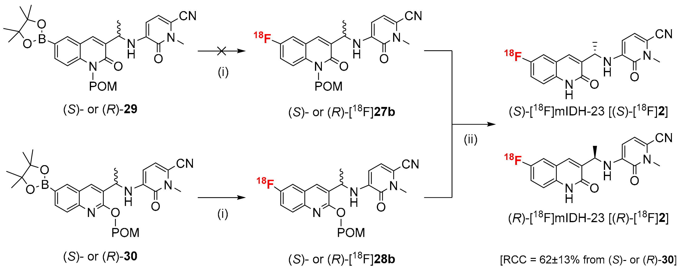 Molecules 29 03939 sch005