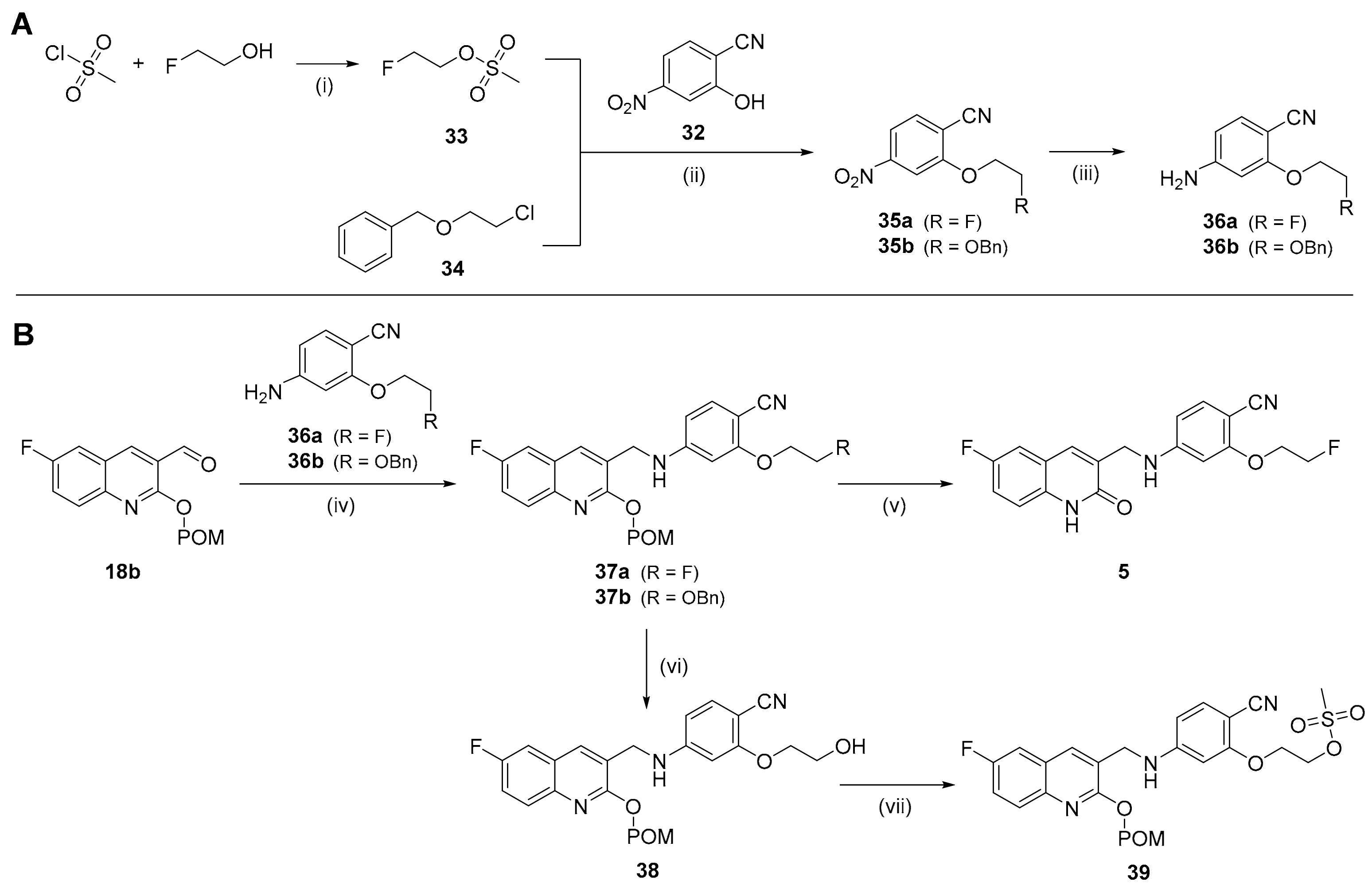 Molecules 29 03939 sch006