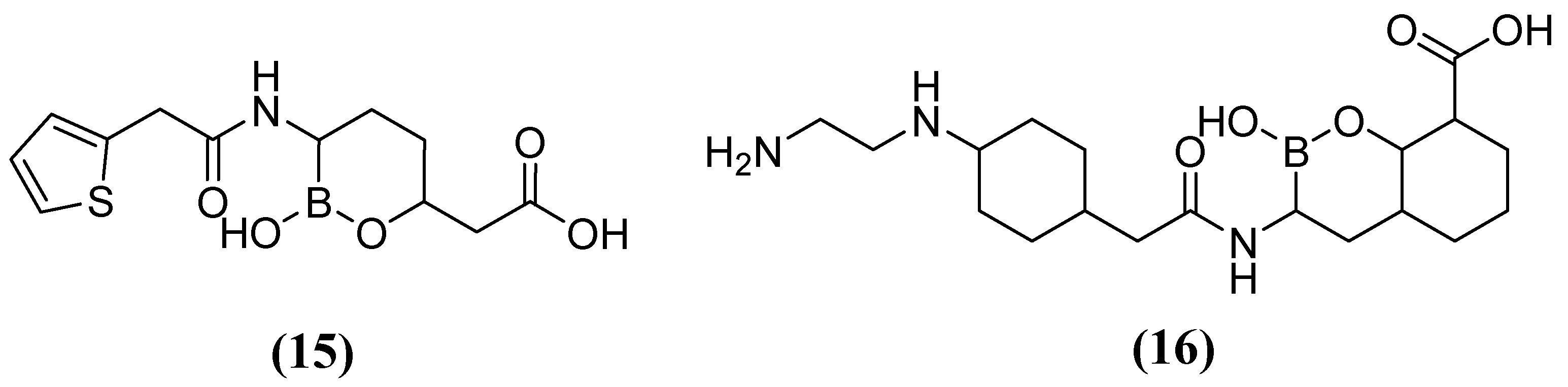 Molecules 29 03944 g010