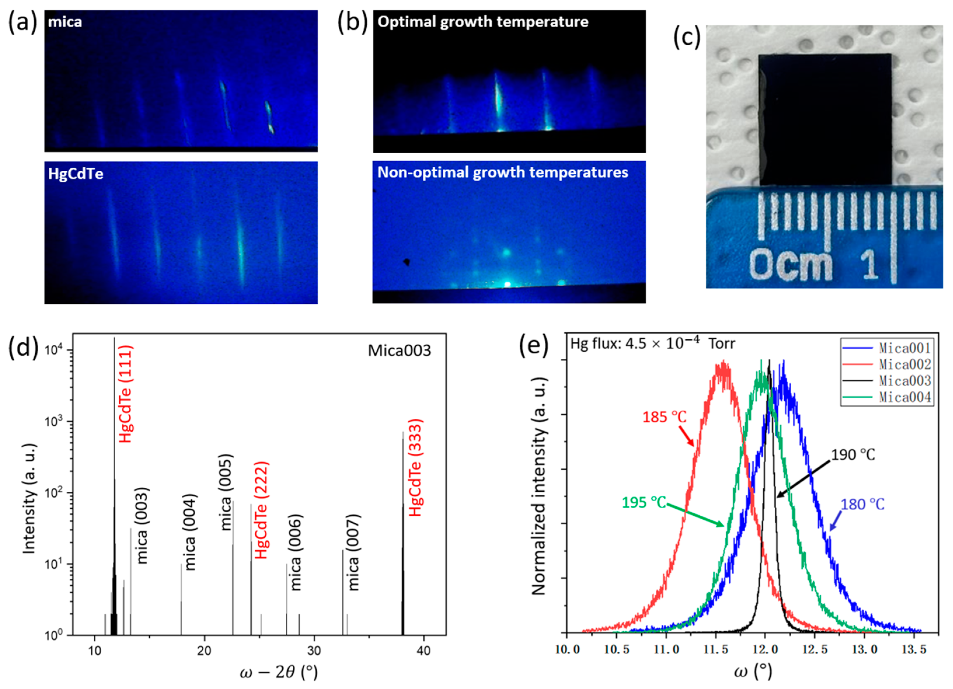 Molecules 29 03947 g001 Molecules 29 03947 g001